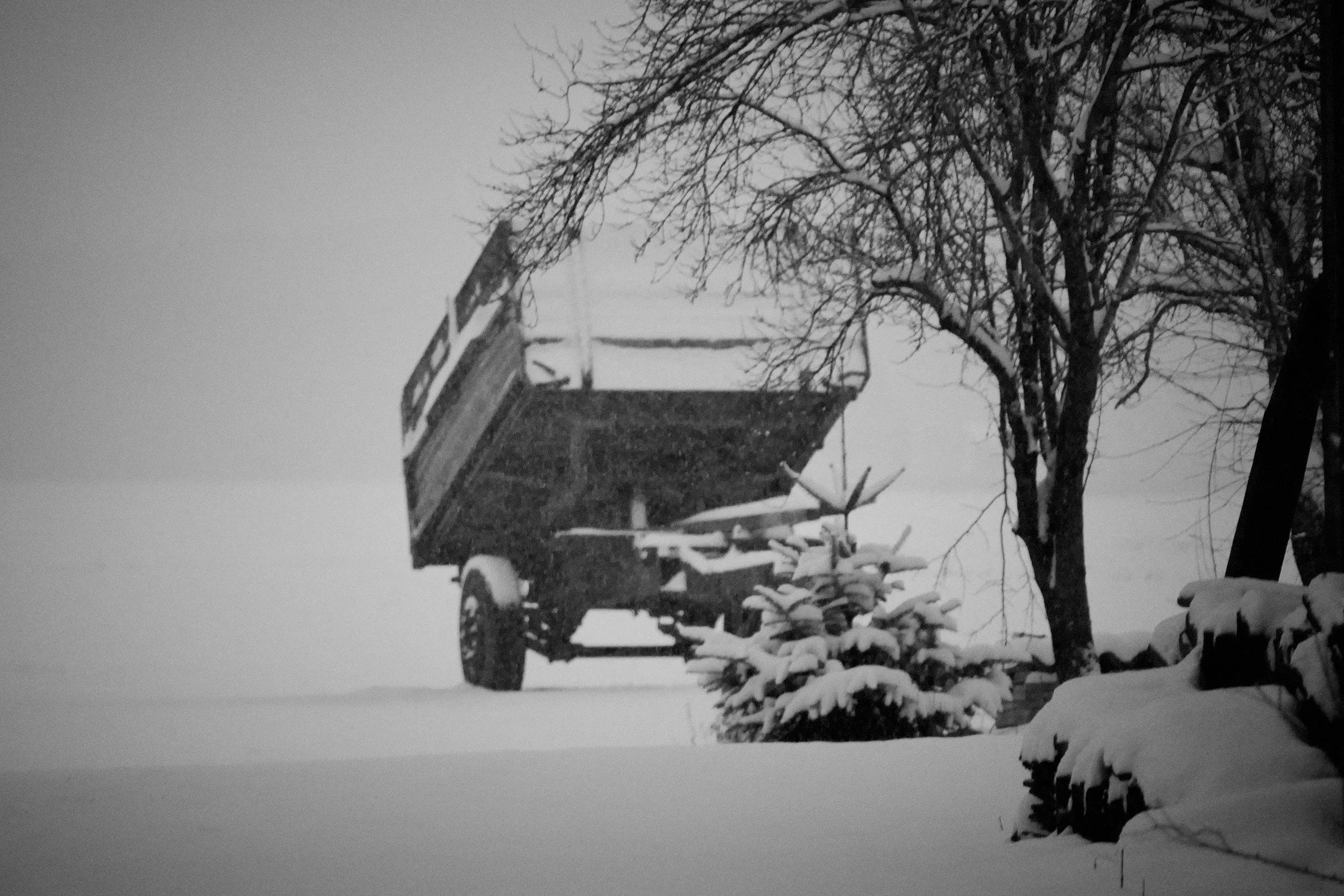 Snow falling thick and quiet, the kind that slows everything down.
A Leica in my hands, breath turning white, fingers numb but steady.
Somewhere on the Slovenia&ndash;Hungary border, where fences blur, roads end, and silence takes over.

This is not 