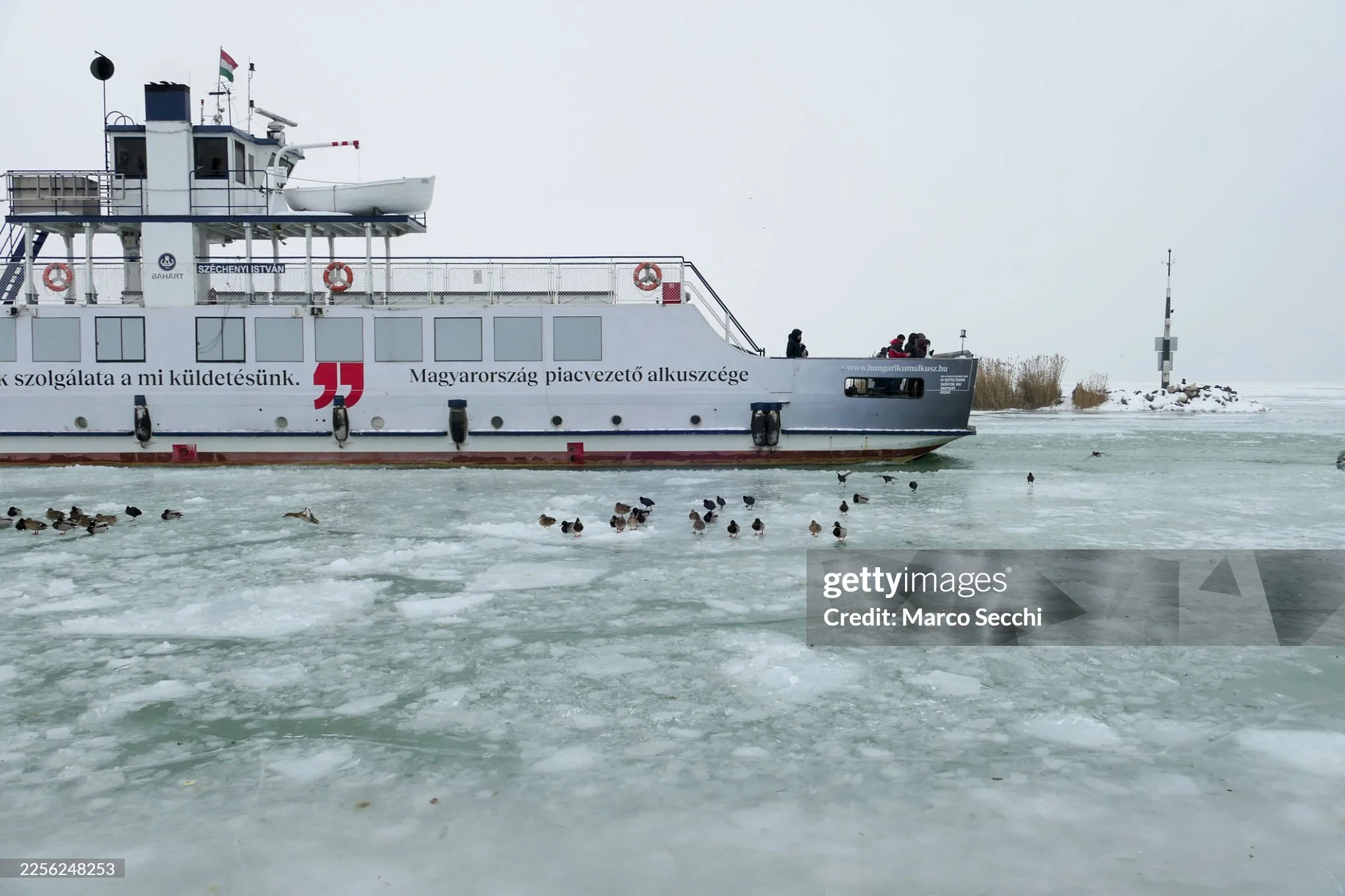 The first frame is from my Getty Images set, the next four are my personal favourites in black and white.

Today Balaton Lake felt like a paused film scene.
A ferry crossing a lake that&rsquo;s nearly solid, fog dissolving the horizon, birds floating