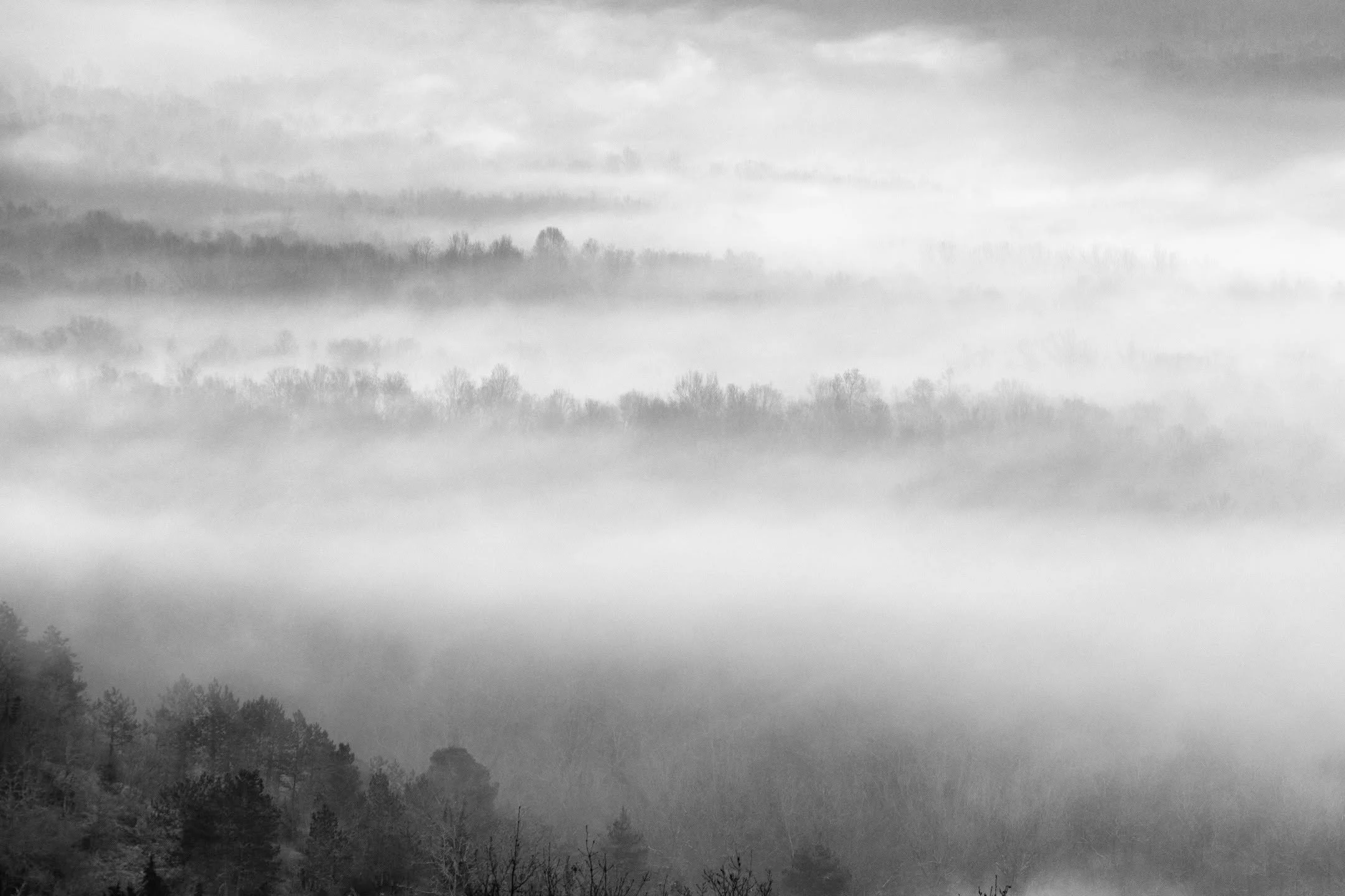 Morning fog rolling through the hills of Istria, just outside Motovun.

This landscape does something interesting to your sense of distance. The layers of trees appear and disappear inside the mist, and suddenly the scene becomes less about geography