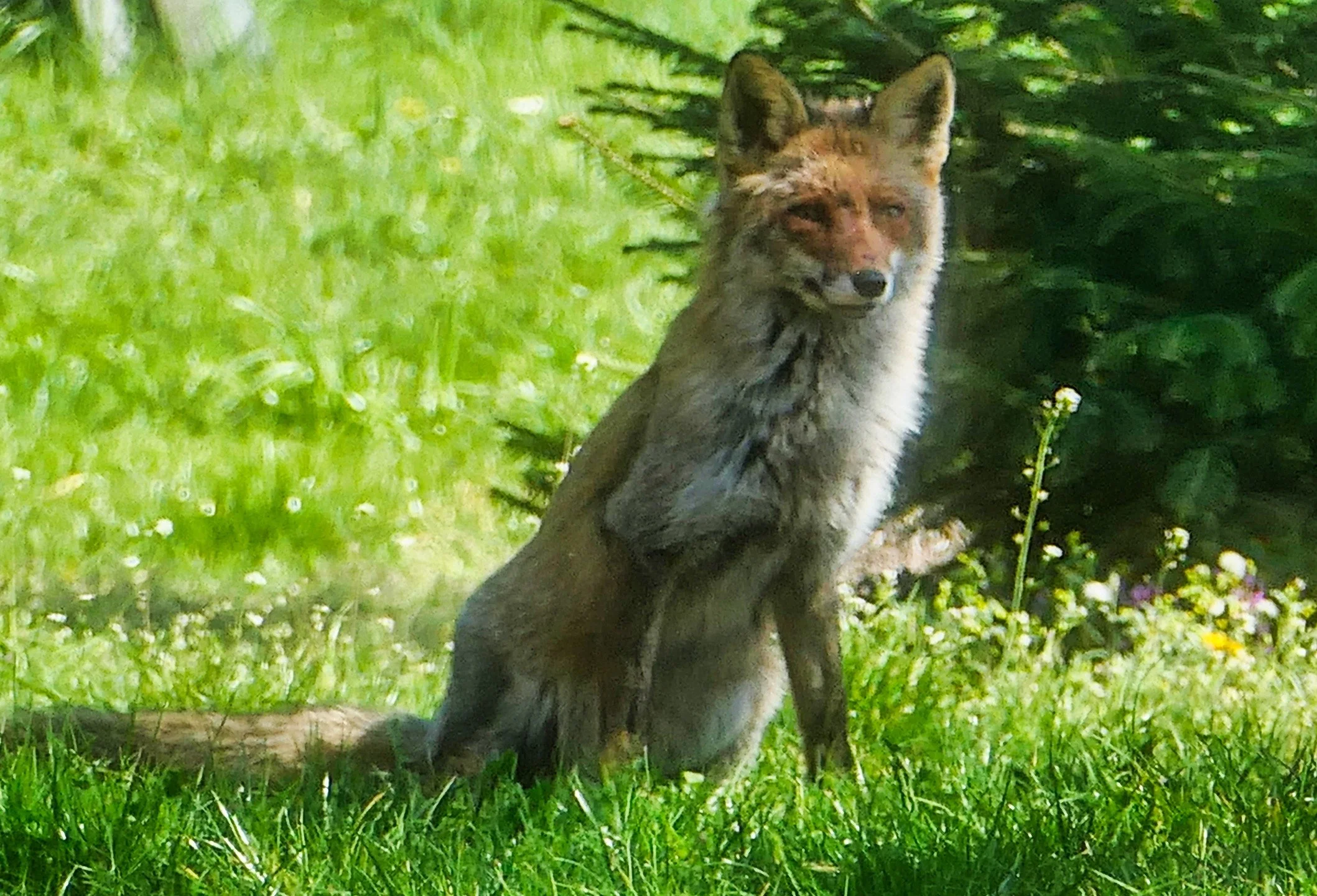 Countryside friends!