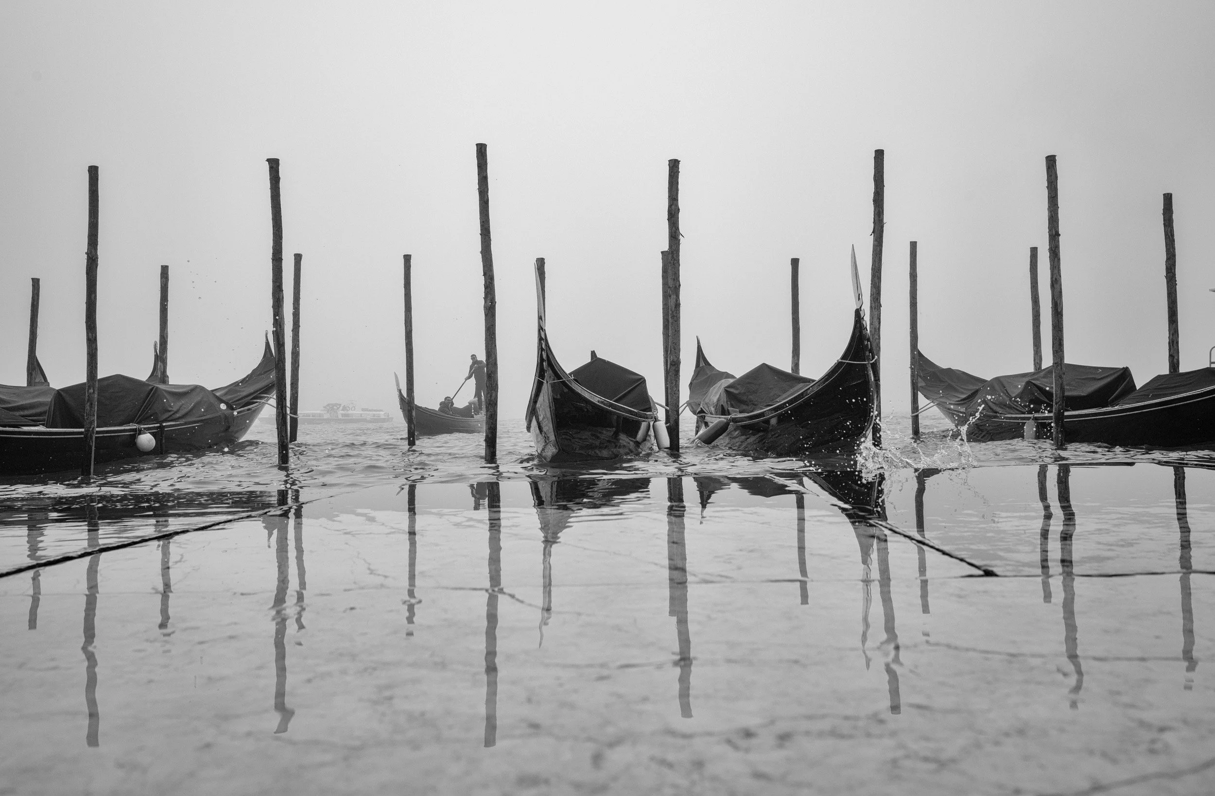 L1002326 copy 2.jpg