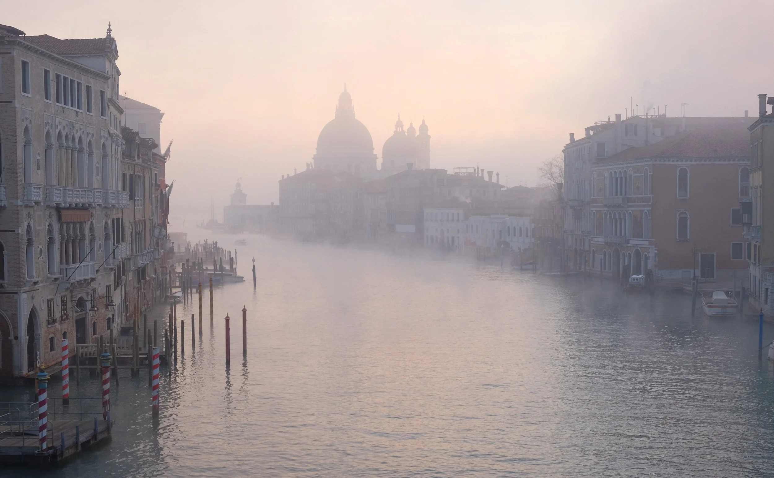 Venice photographed at noon is a postcard. 

Venice photographed at dawn is a confession. ❤️

#venice #photography #workshop #marcosecchi #exclusive