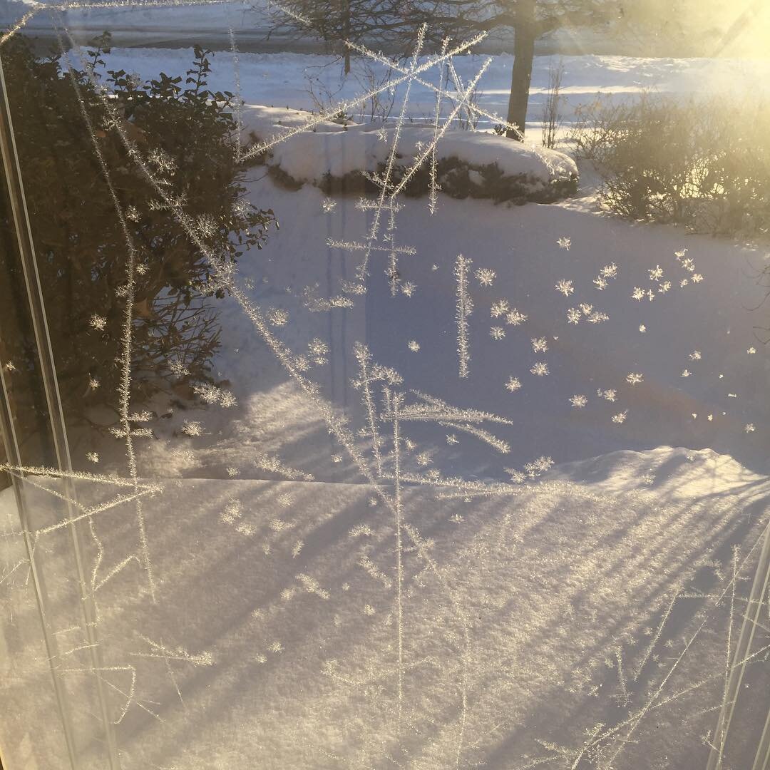 Cold speaks in its own language. #chicago #polarvortex #brrrrrr