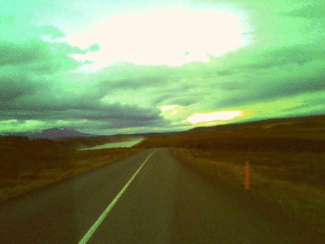 Harinezumi Timelaps Animated Gif.gif