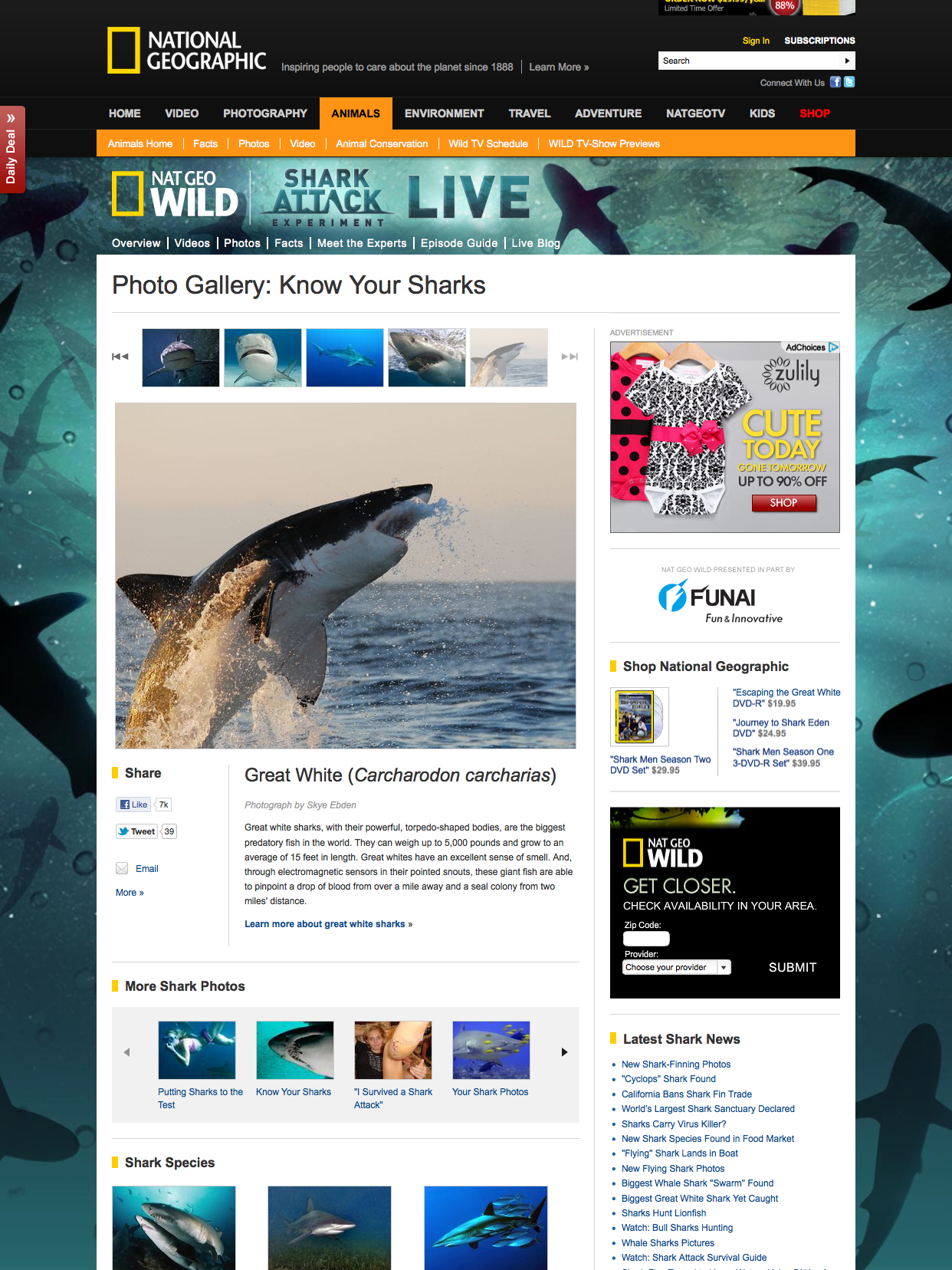 Nat Geo Wild Shark Attack LIVE