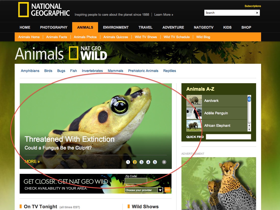 Nat Geo Wild Homepage