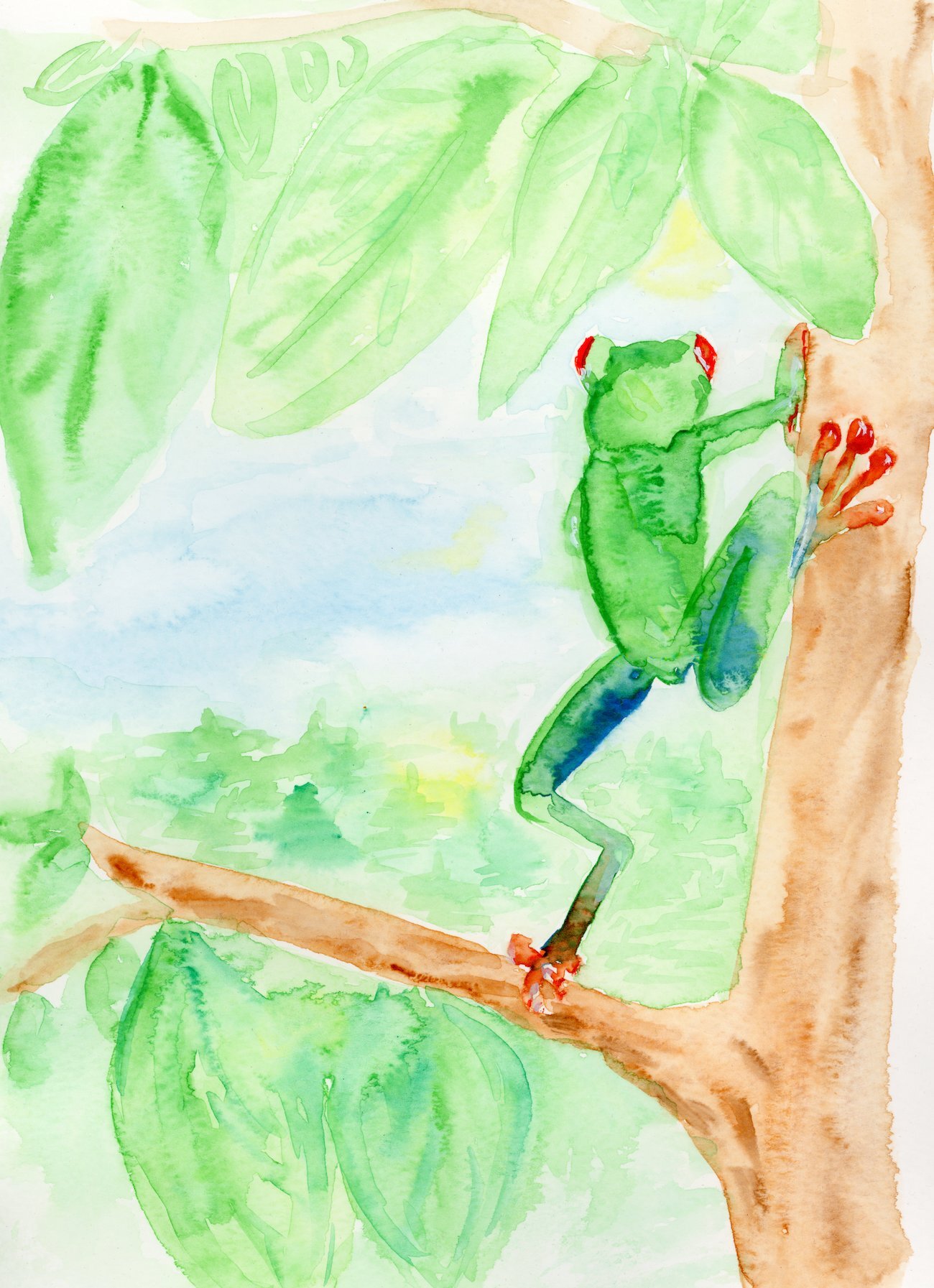 WatercolorFrog_JodiKendallArtist.jpg