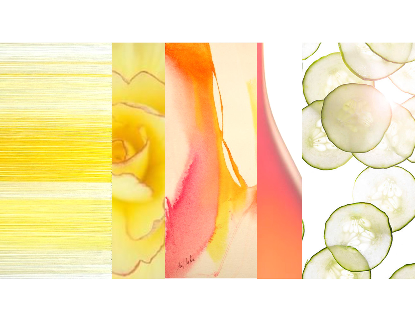 TH_PP_Fragrance04.jpg