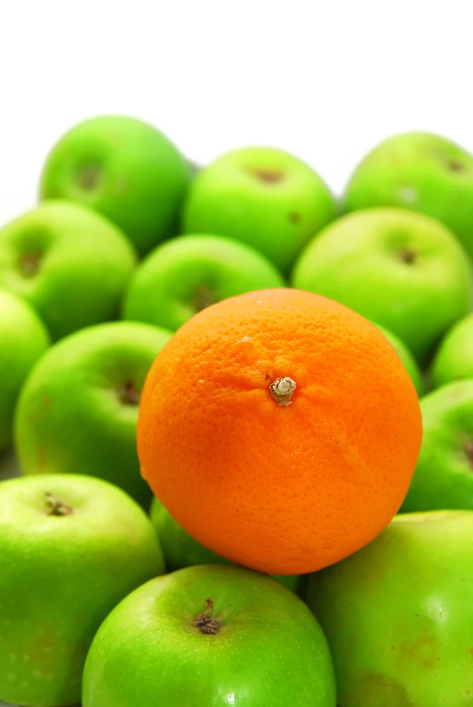 shutterstock_15073846.jpg