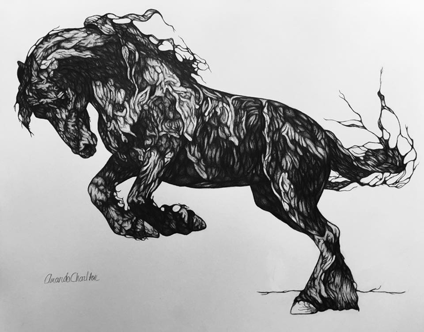 Spiritus Noctis
