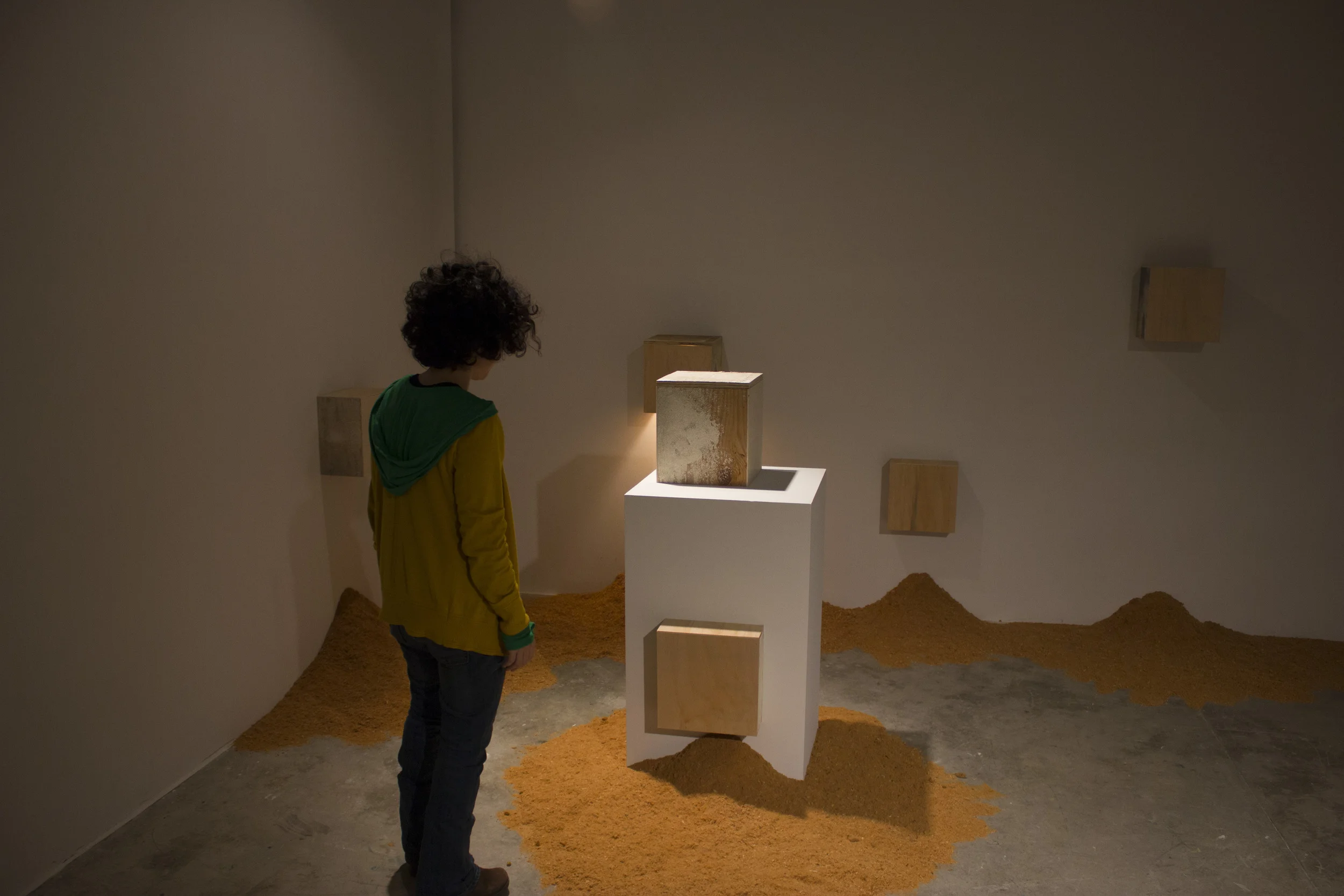  Stephen-Bernard Callendar   2014 12‘x10‘x10’   Found wood, sawdust  12‘x10‘x10’  Pedestal   