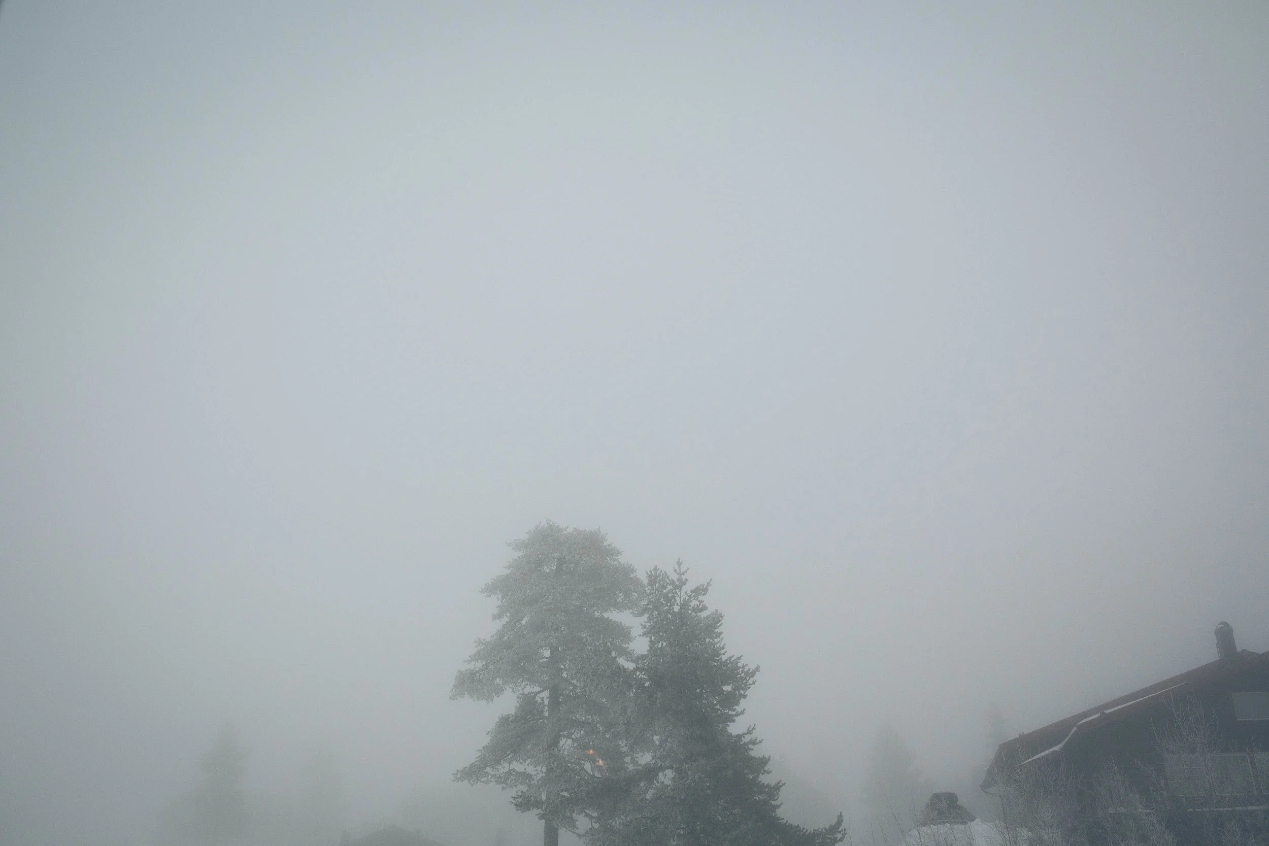 EmmaDaniel170127-95.jpg