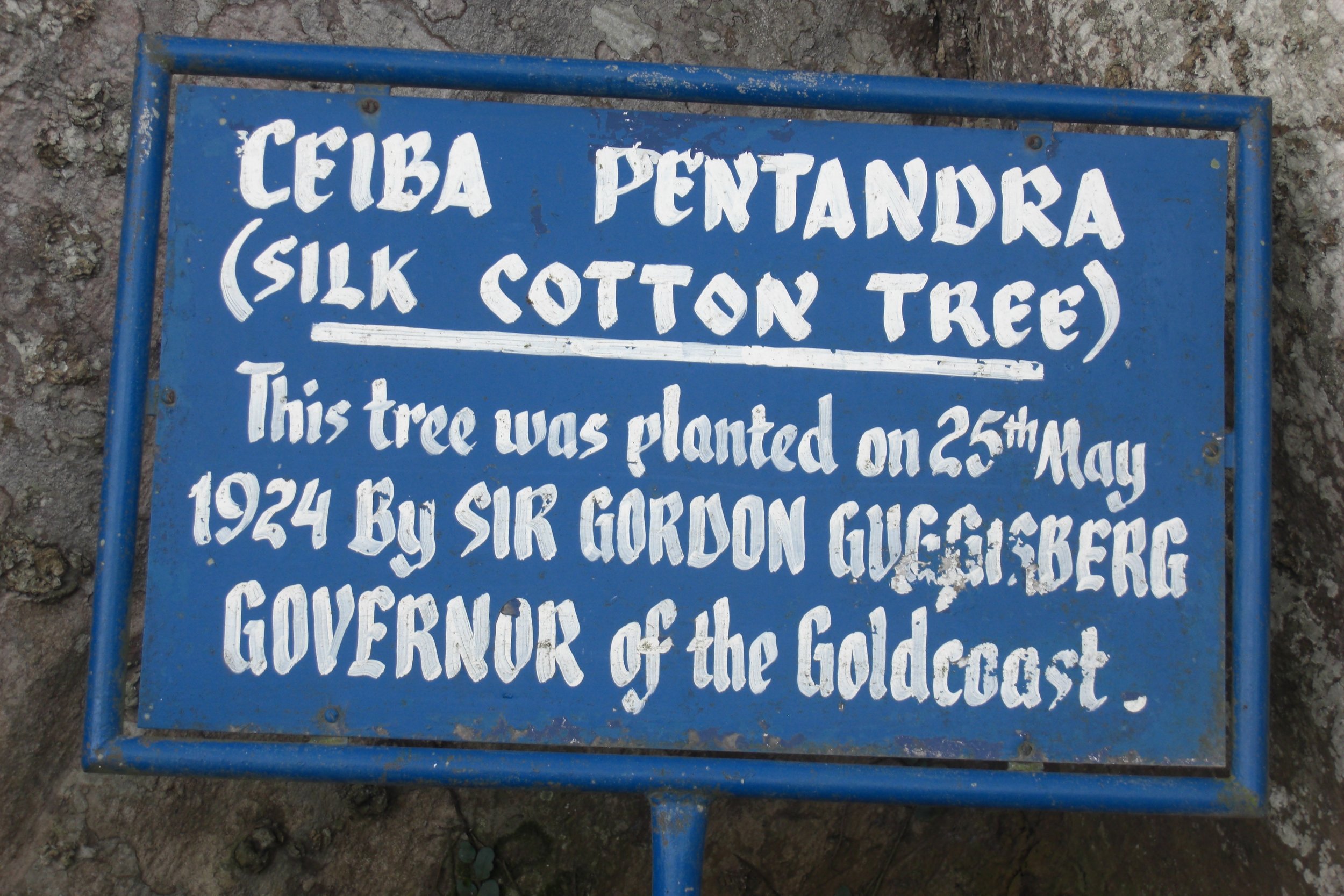 cotton tree sign.jpg