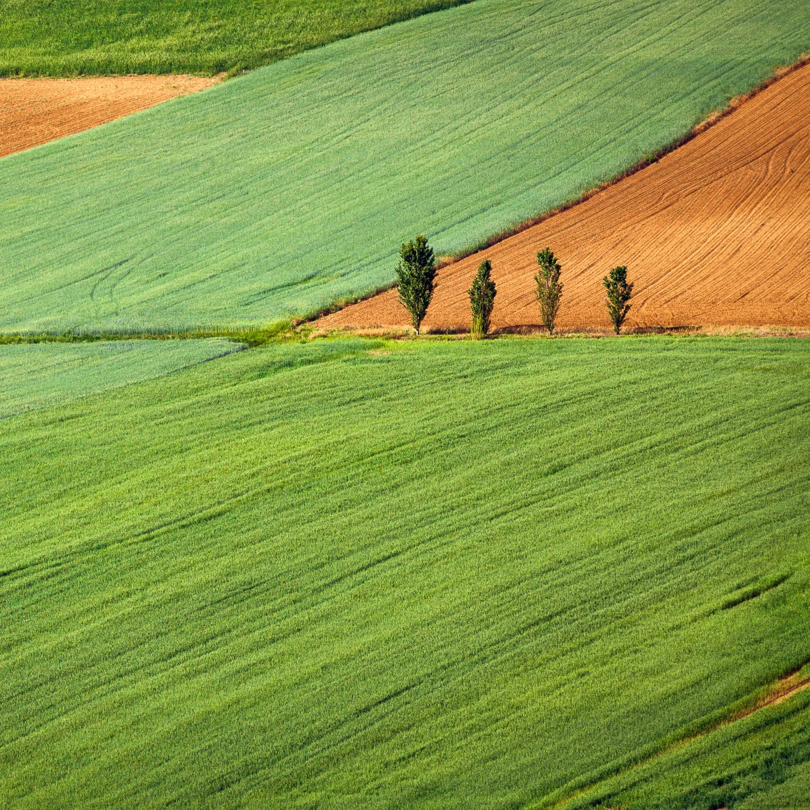 GDE710 W12 | Lecture Reflection &amp; Research