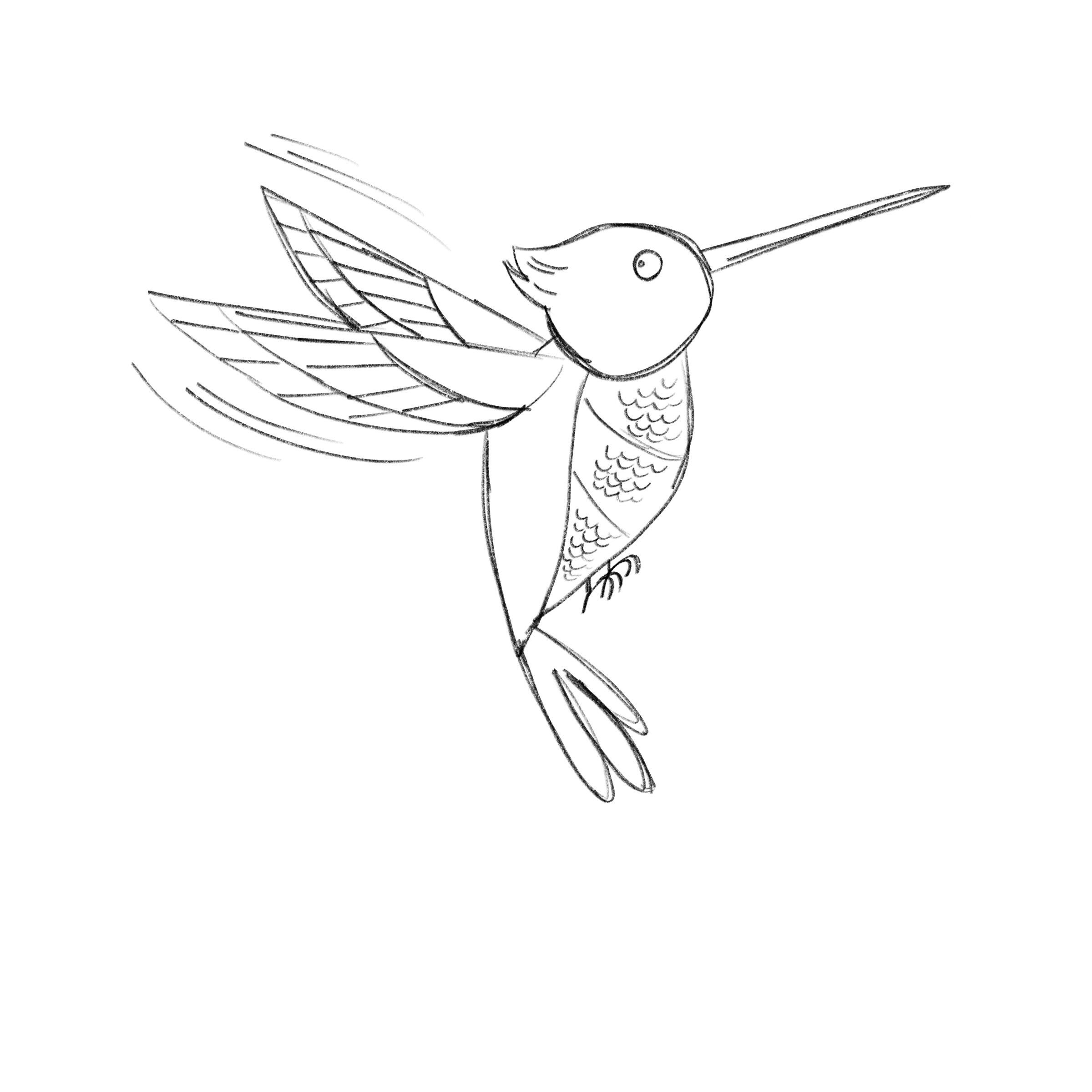 Hummingbird rough.jpg