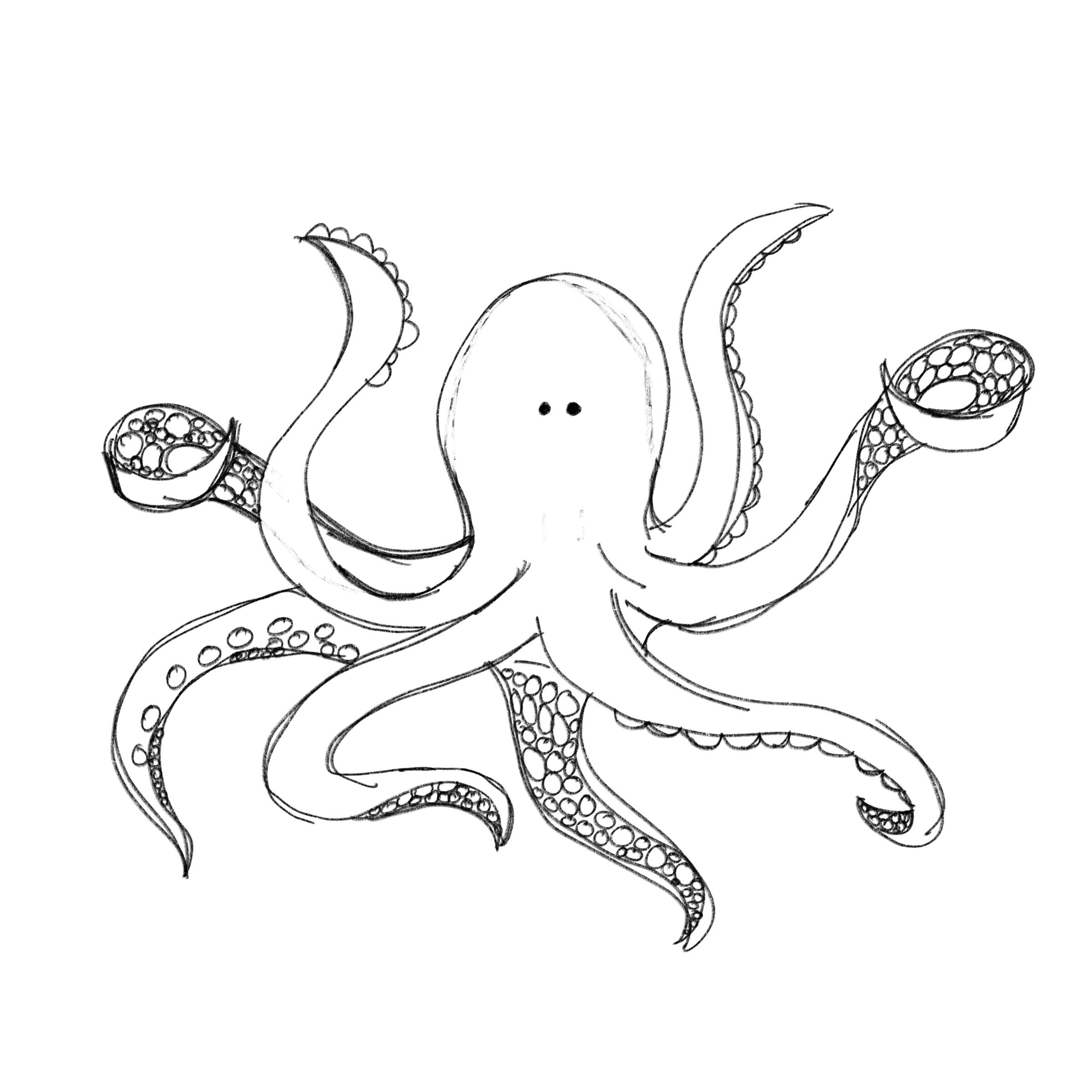 Octopus rough.jpg