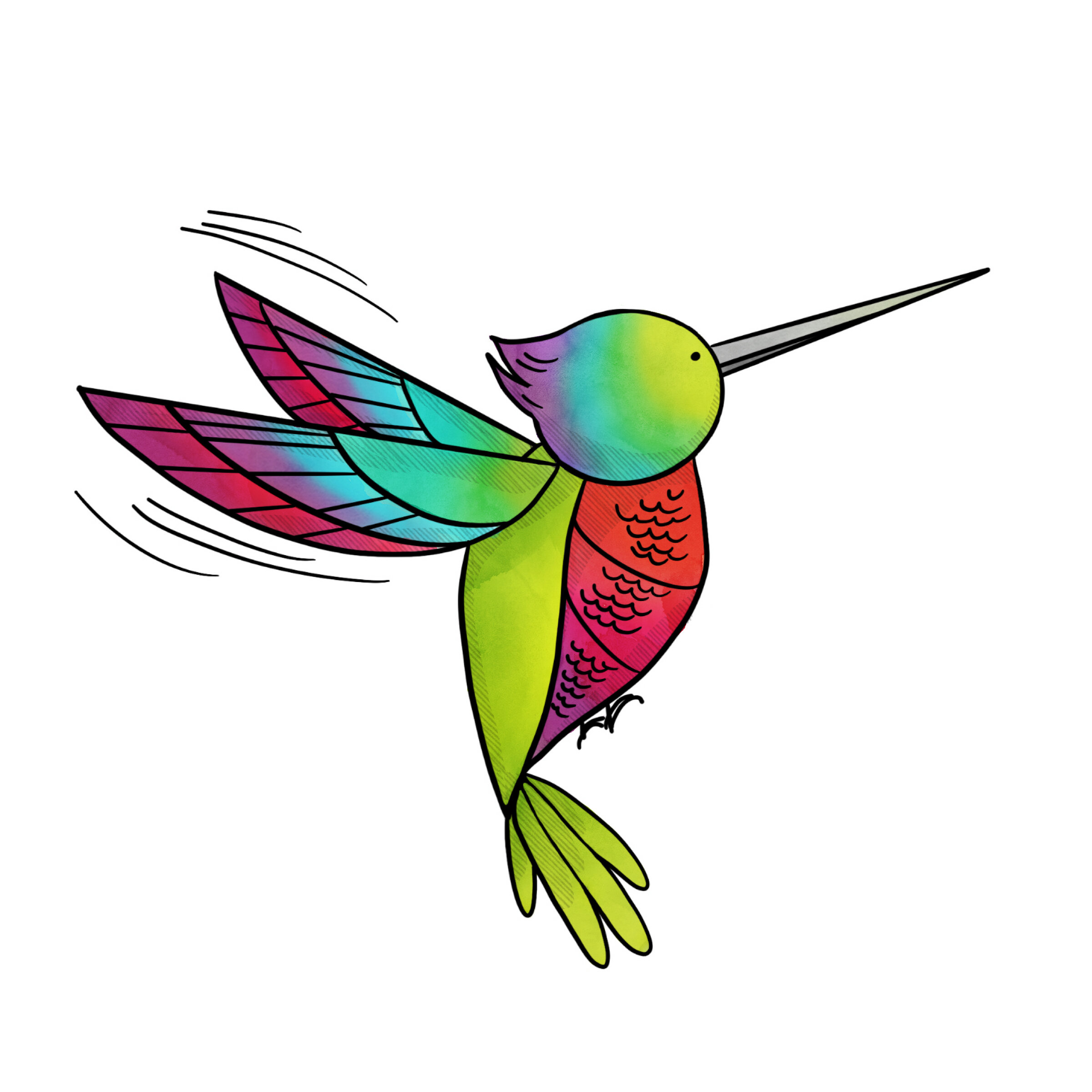 Hummingbird color .jpg