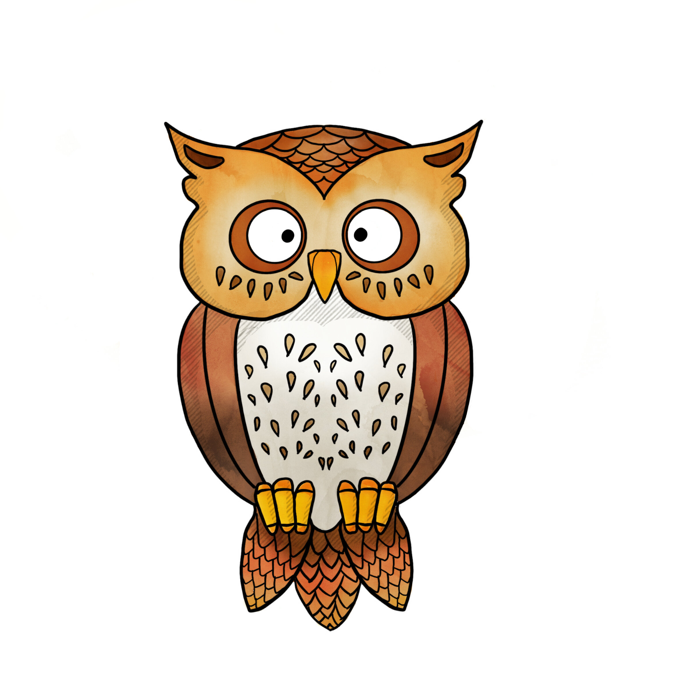 Owl color.jpg