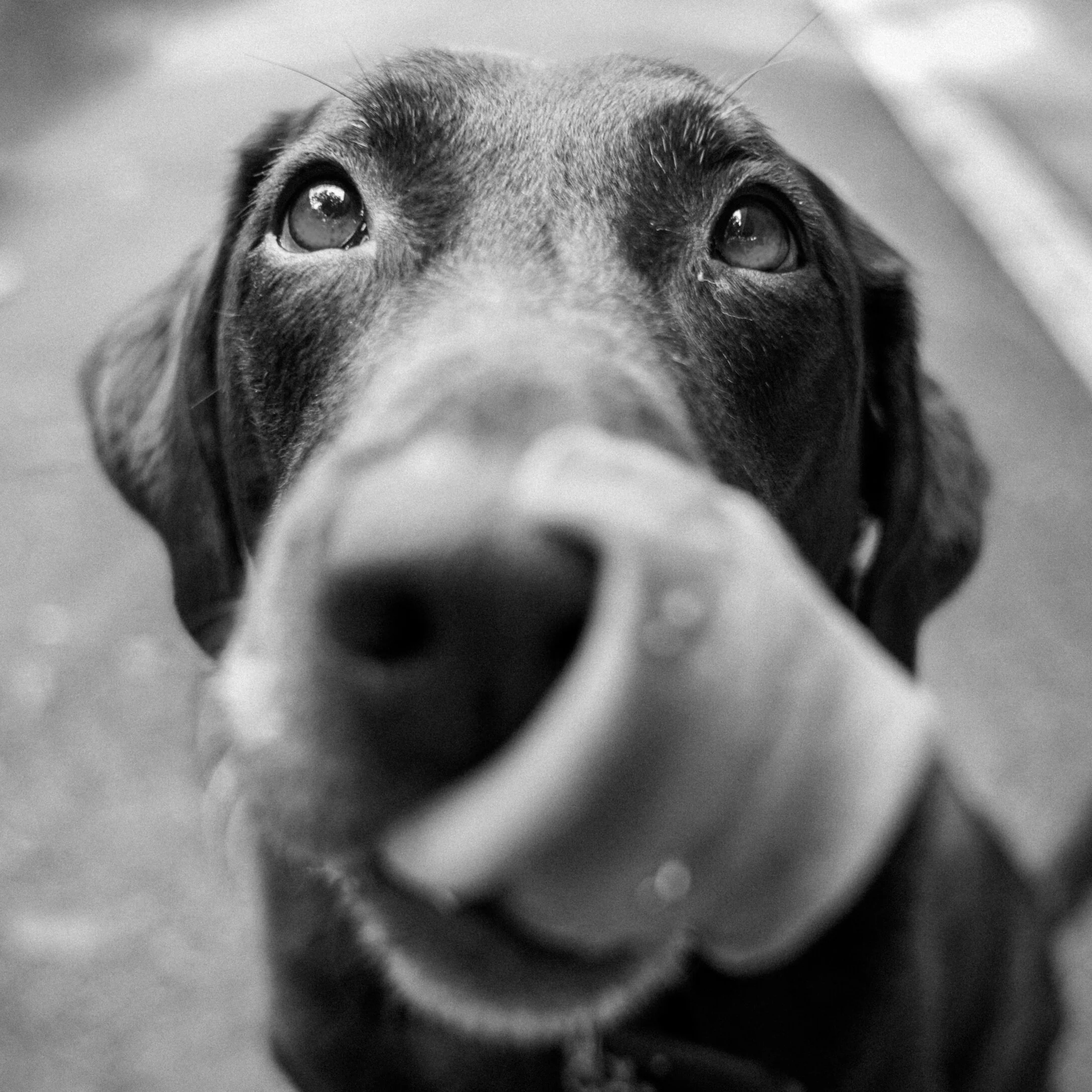 GDE730 W2 | Workshop Challenge