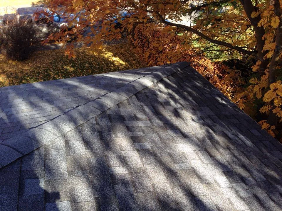 MacBeath Roof 00.jpg