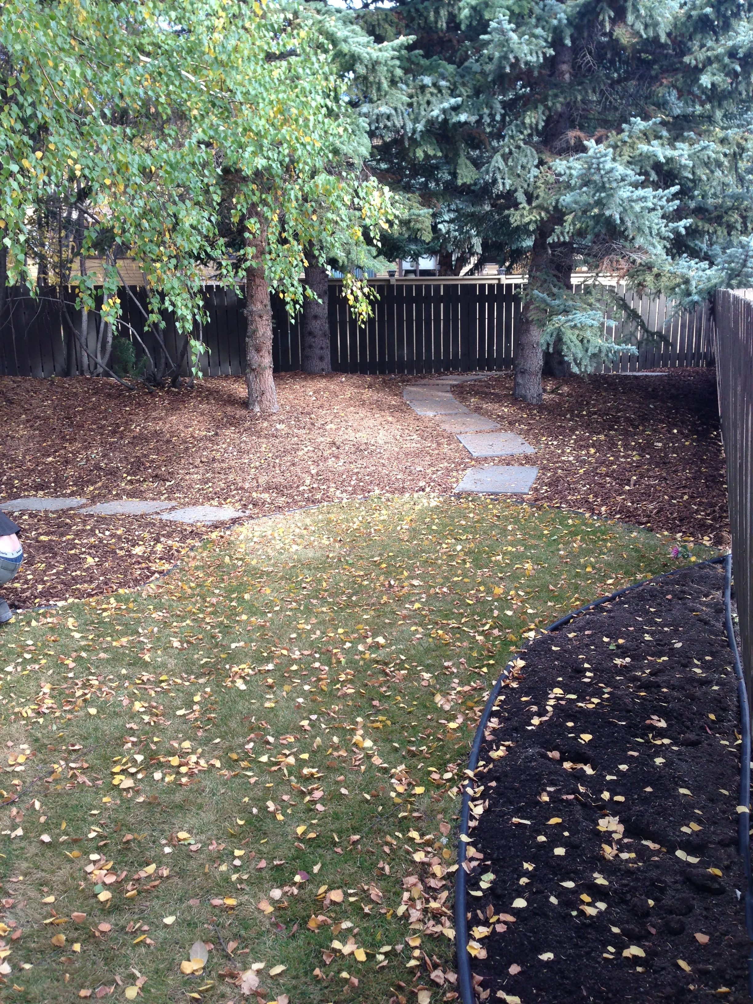 2012-10-19 13.19.35.jpg