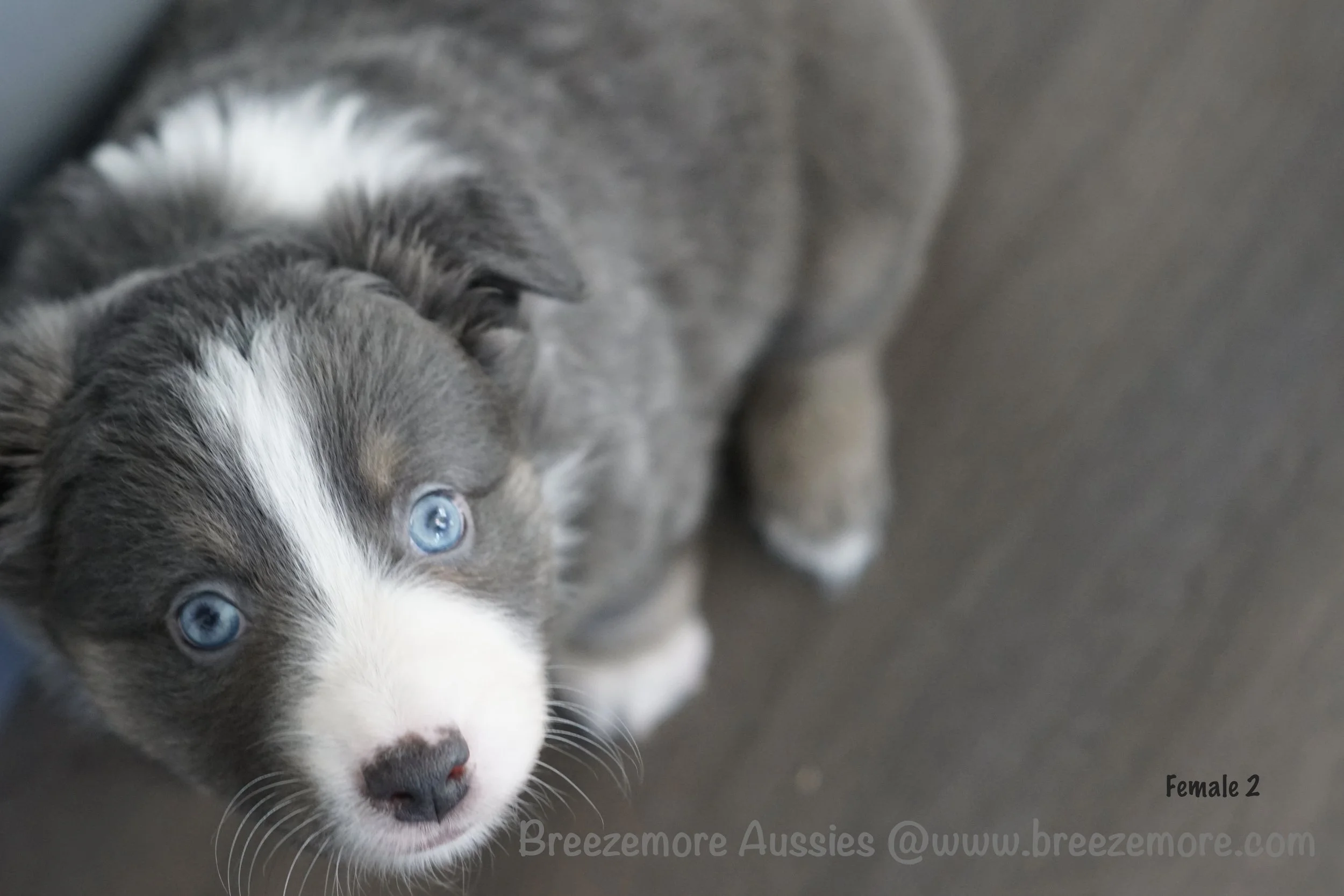 DSC06519 21 Edited.jpg