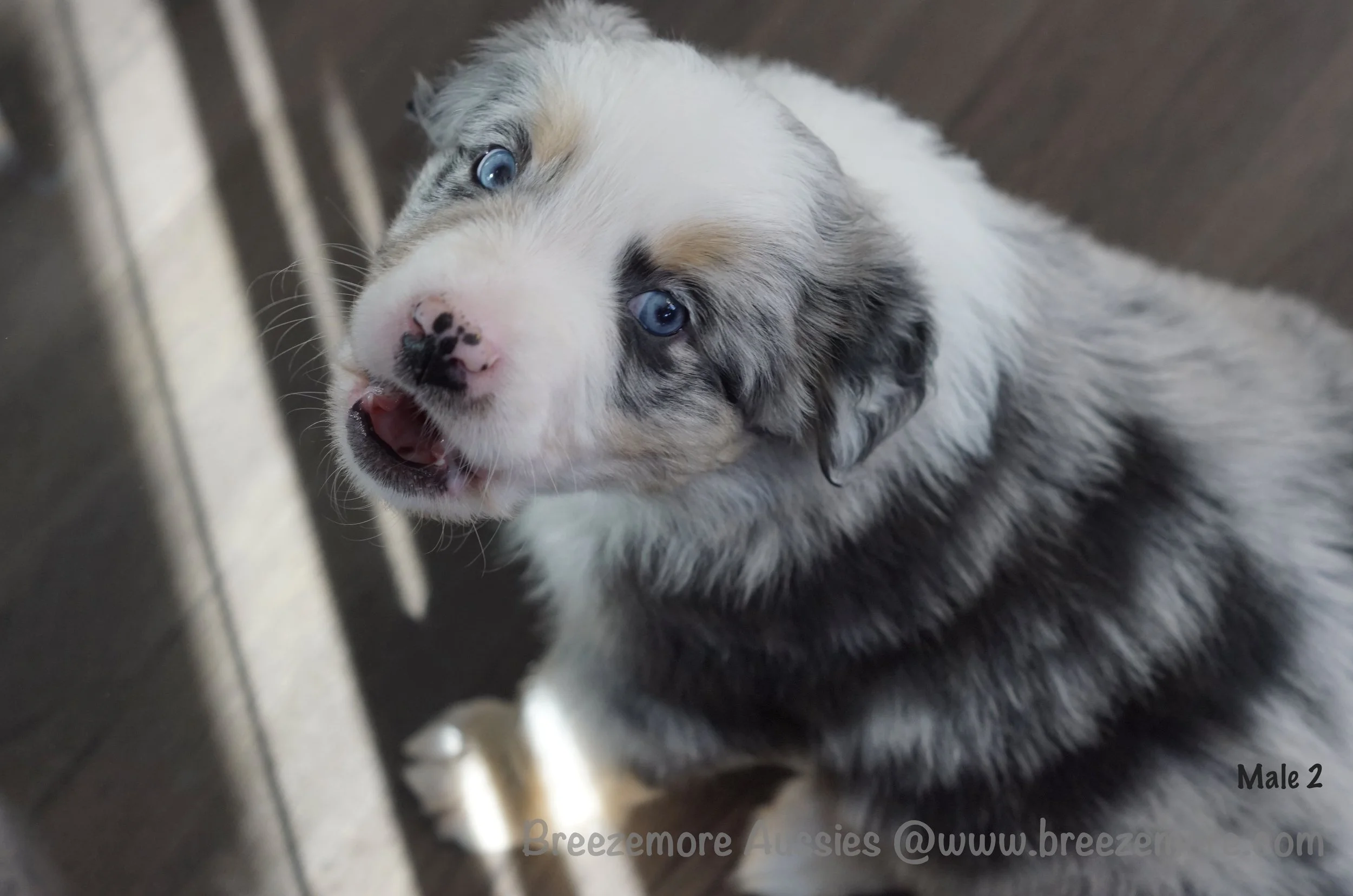 DSC06487 6 Edited.jpg