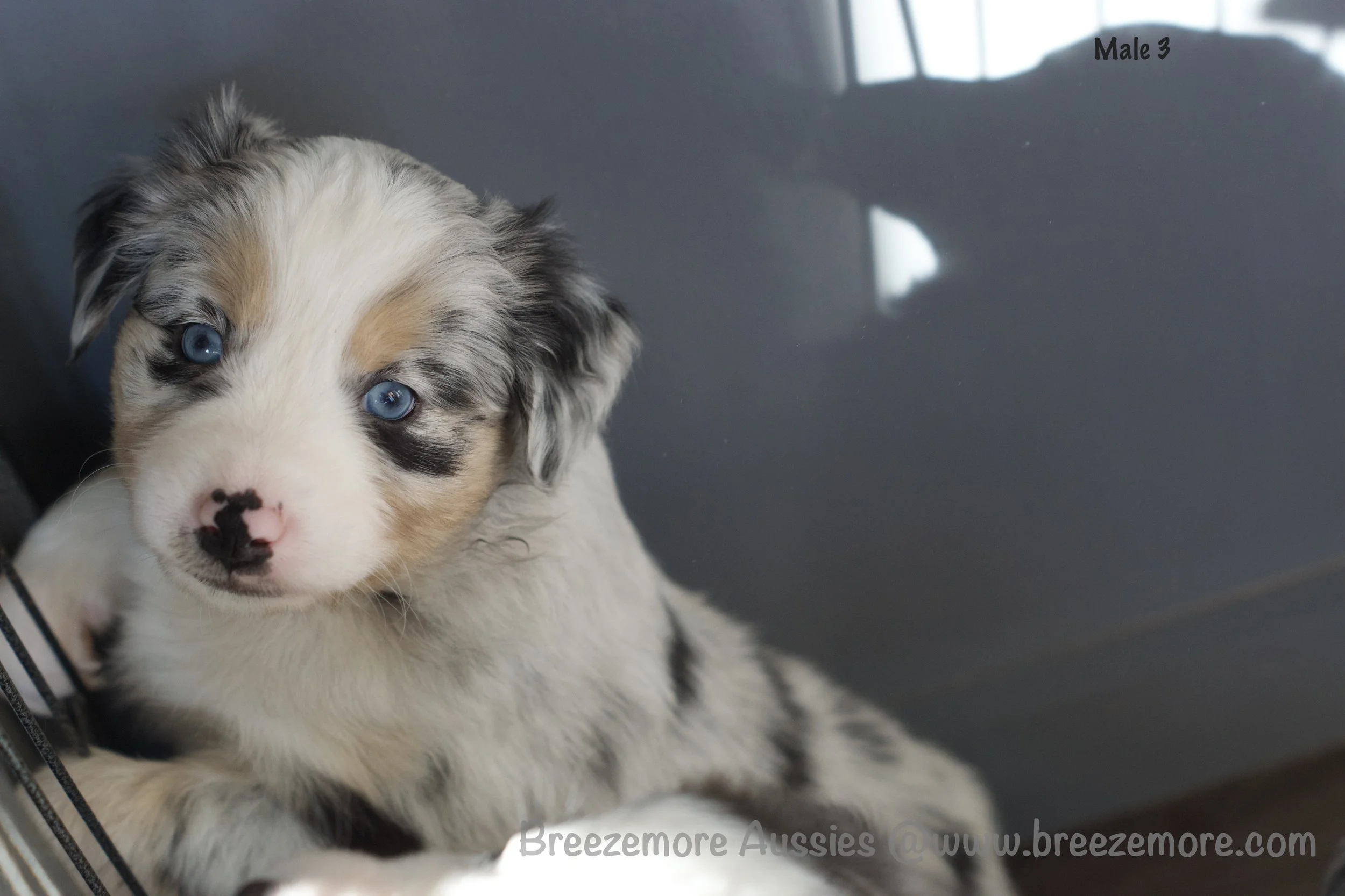 DSC06486 5 Edited.jpg