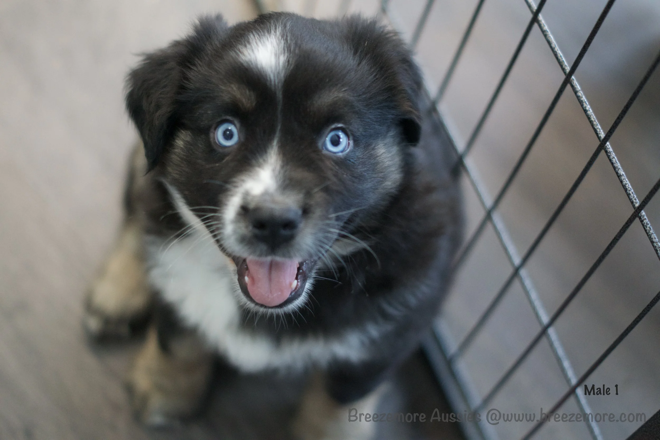 DSC07256 12 Edited.jpg