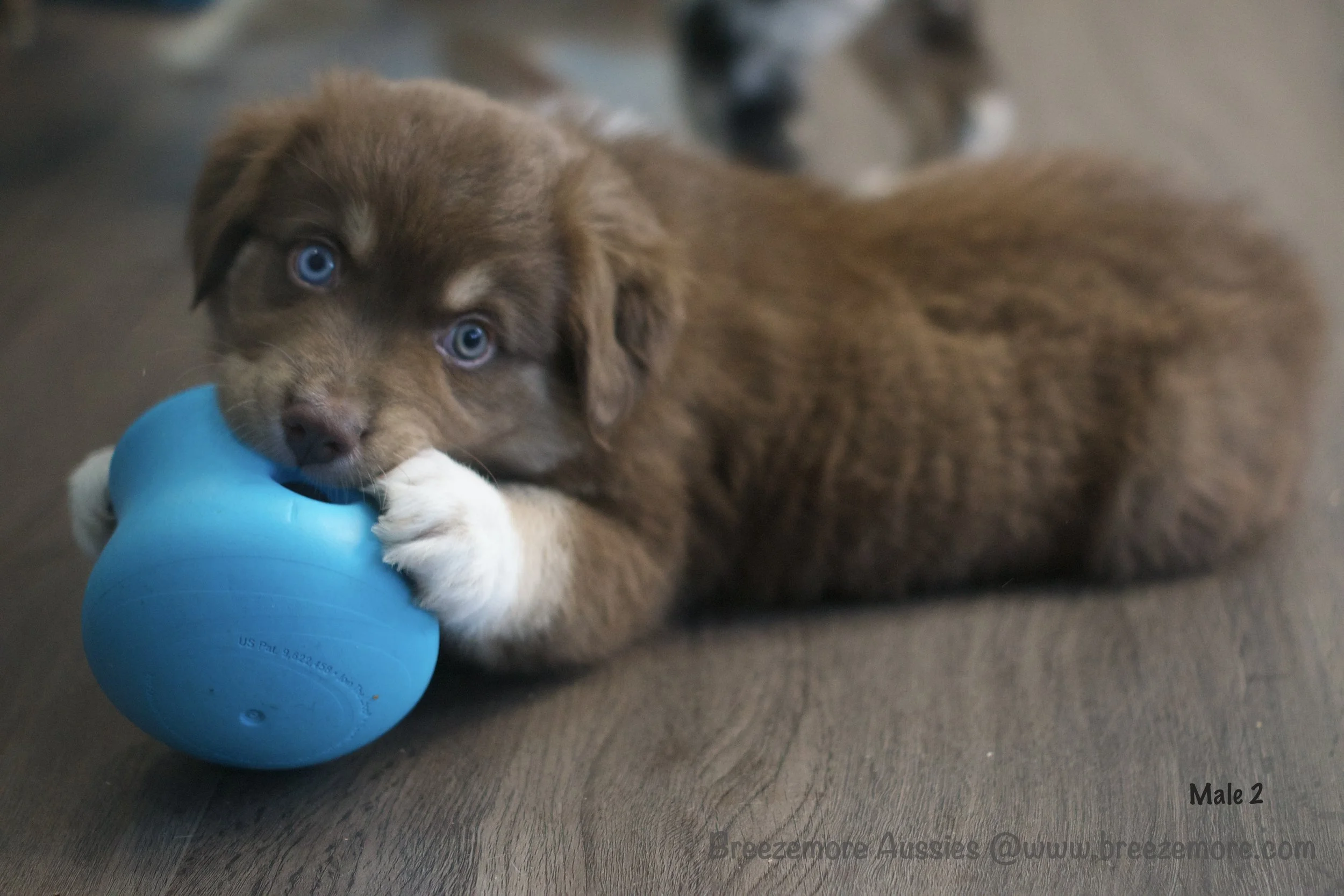 DSC07315 43 Edited.jpg