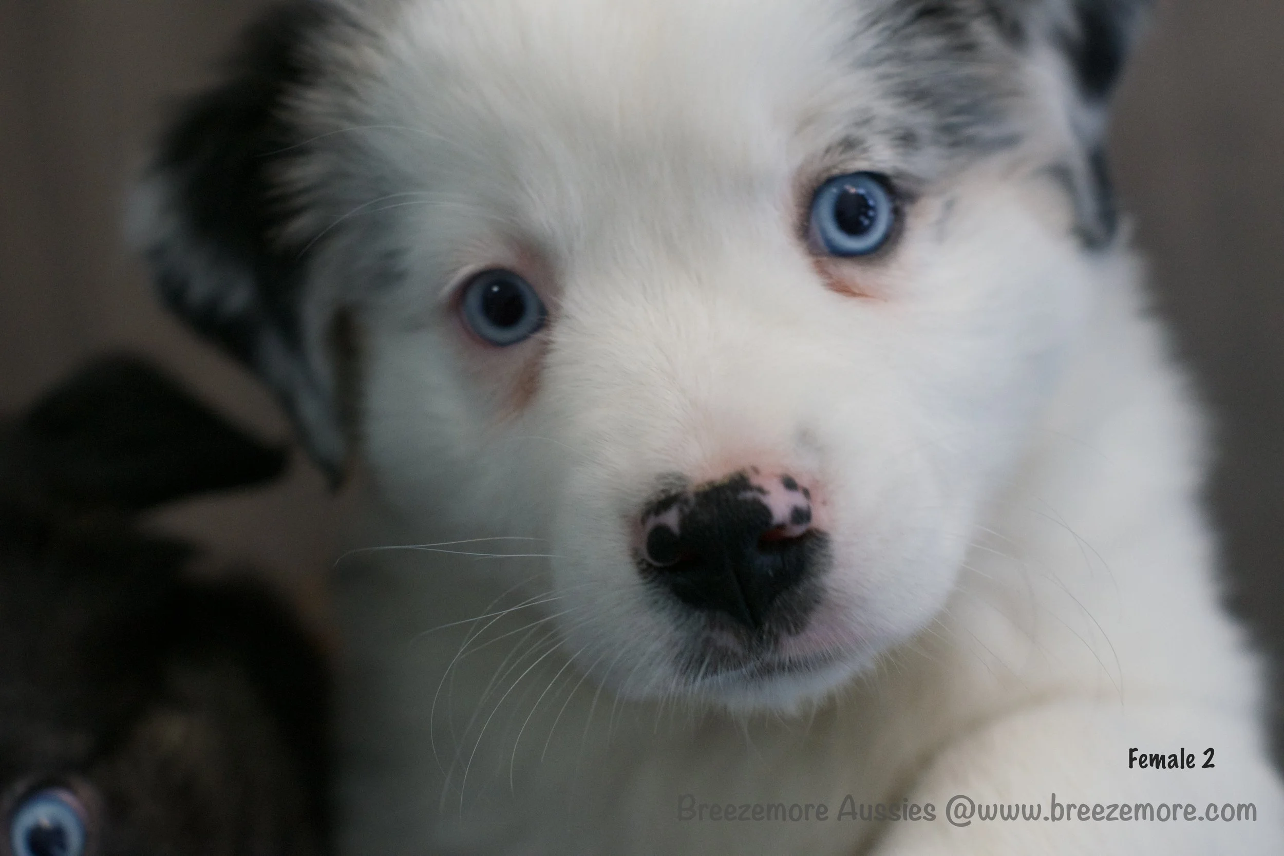 DSC07249 8 Edited.jpg