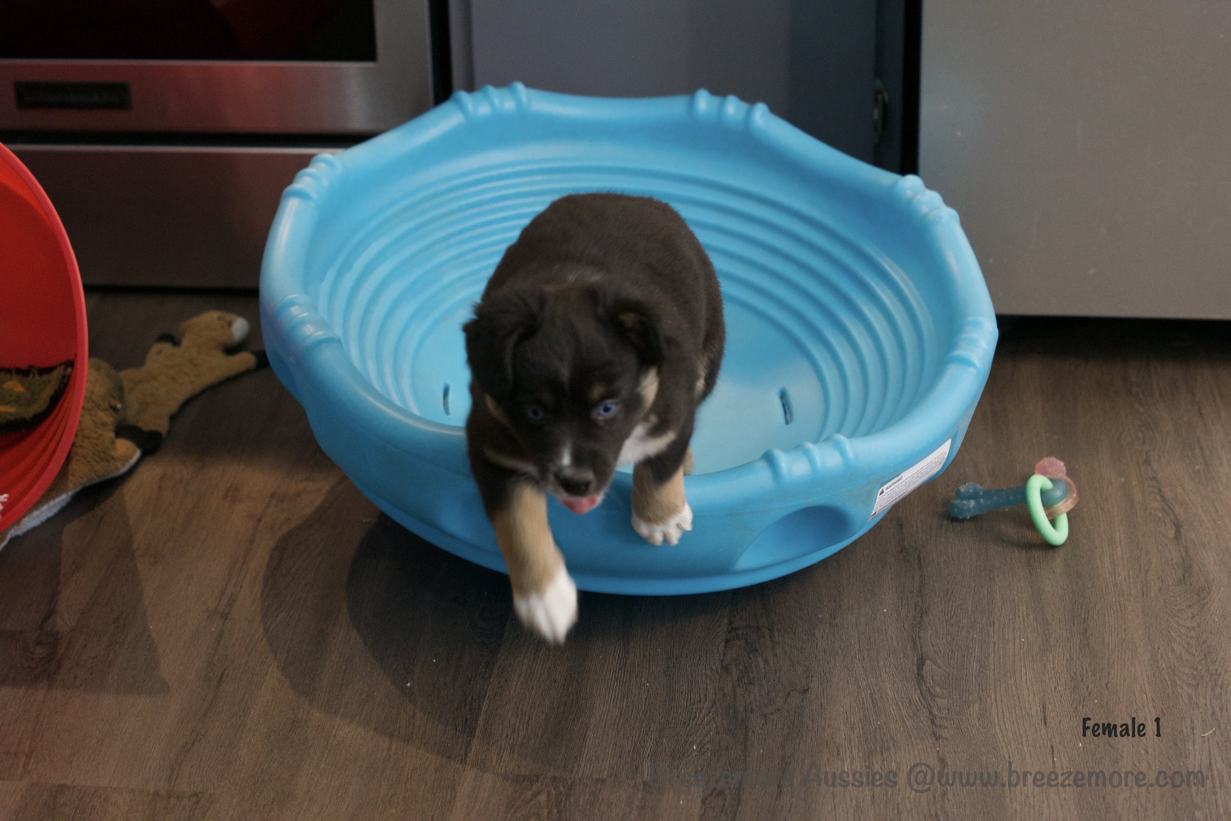 DSC07244 4 Edited.jpg