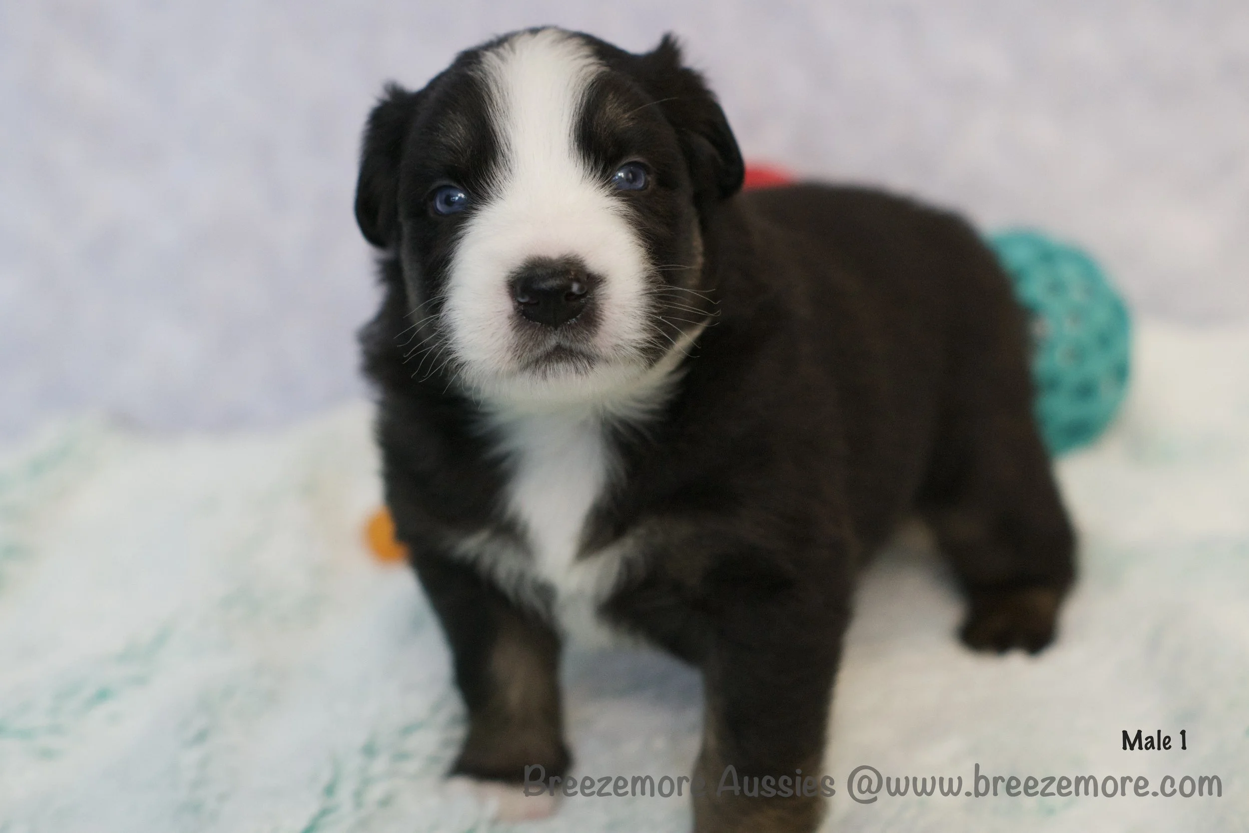 DSC07169 30 Edited.jpg