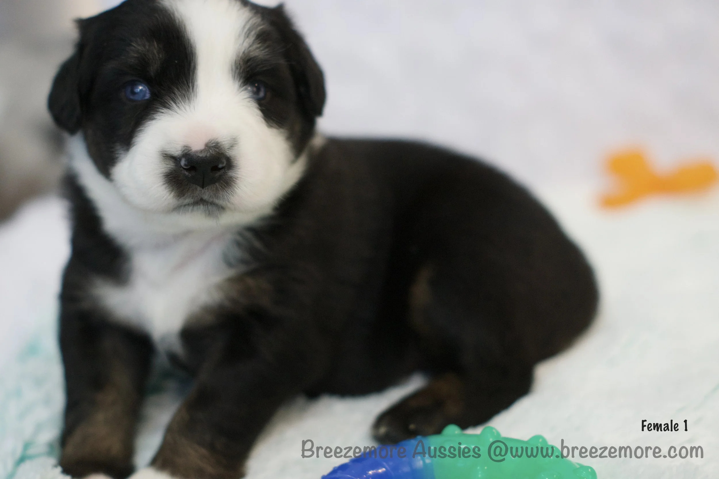 DSC07193 45 Edited.jpg