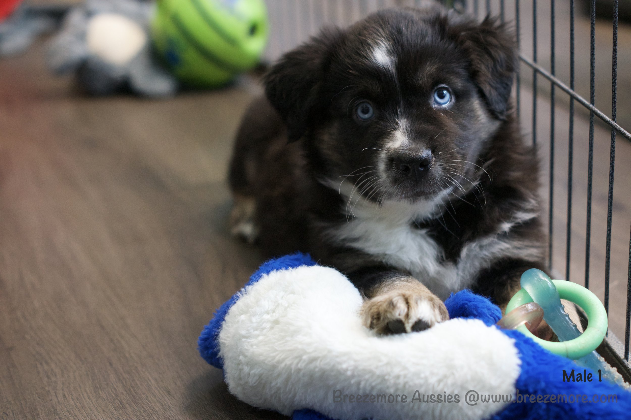 DSC07382 23 Edited.jpg