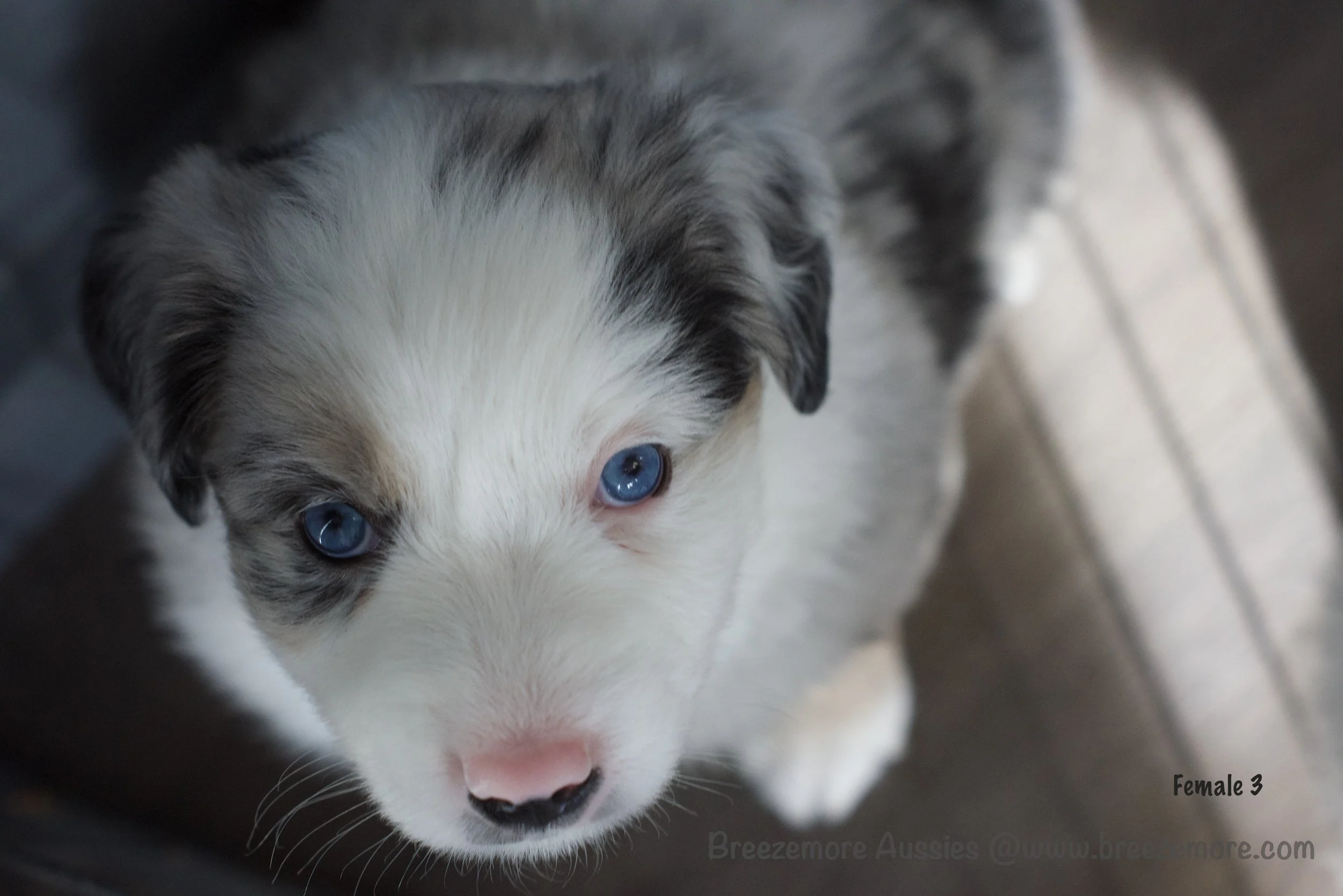 DSC07719 15 Edited.jpg