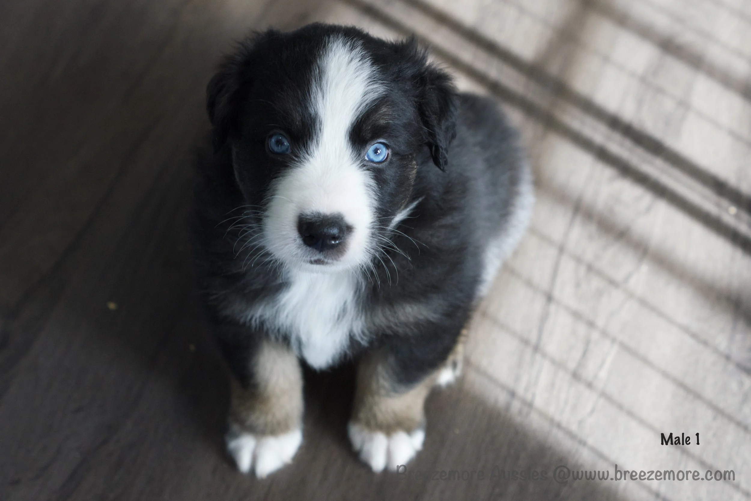 DSC07726 17 Edited.jpg