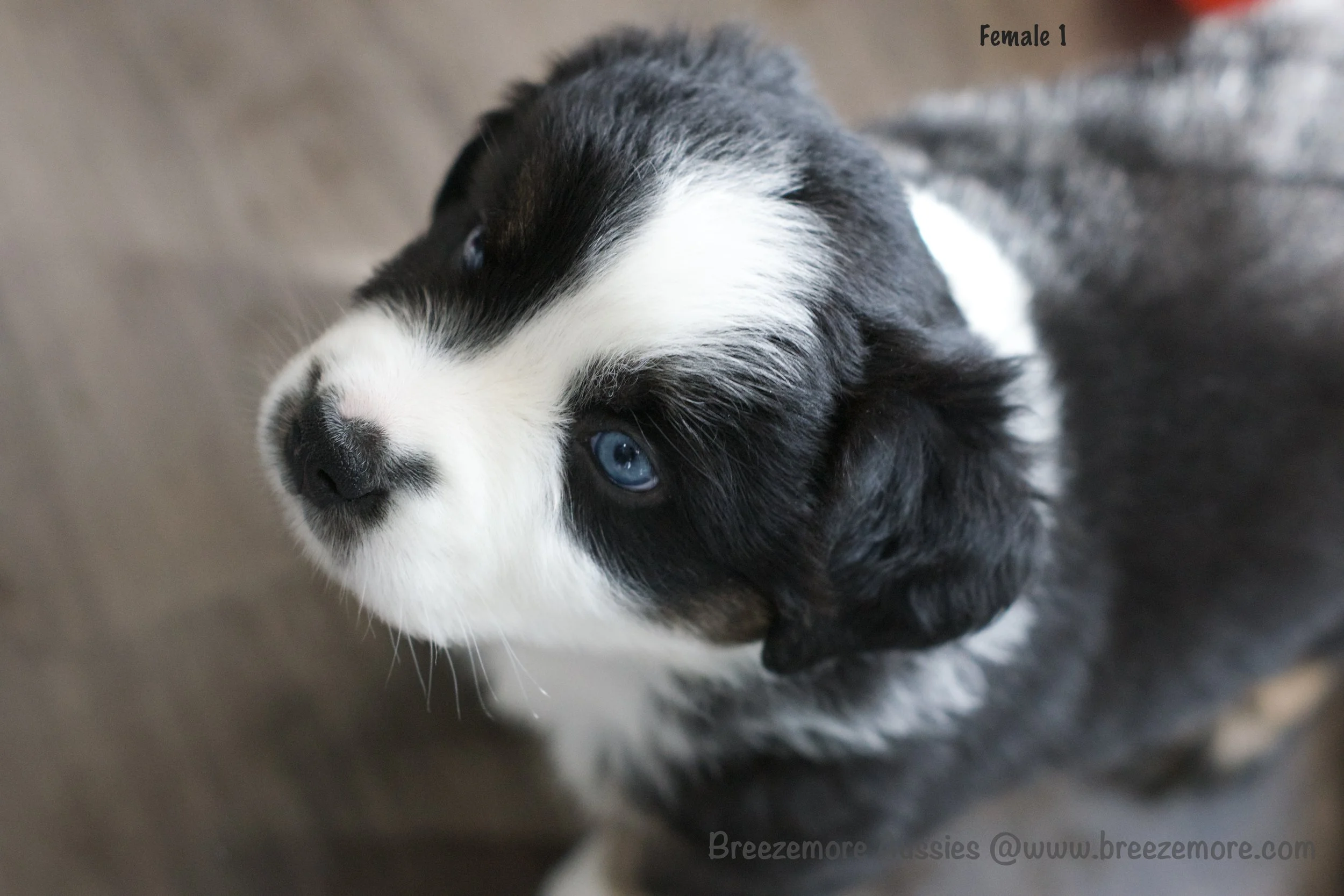 DSC07736 21 Edited.jpg