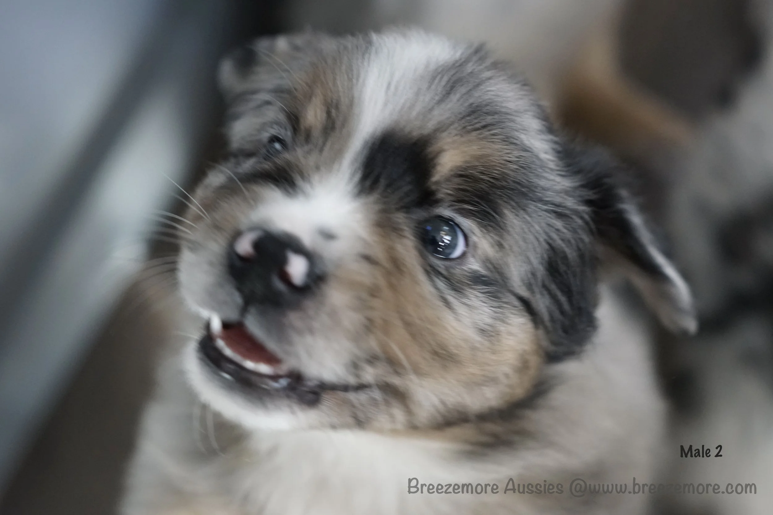 DSC07731 18 Edited.jpg