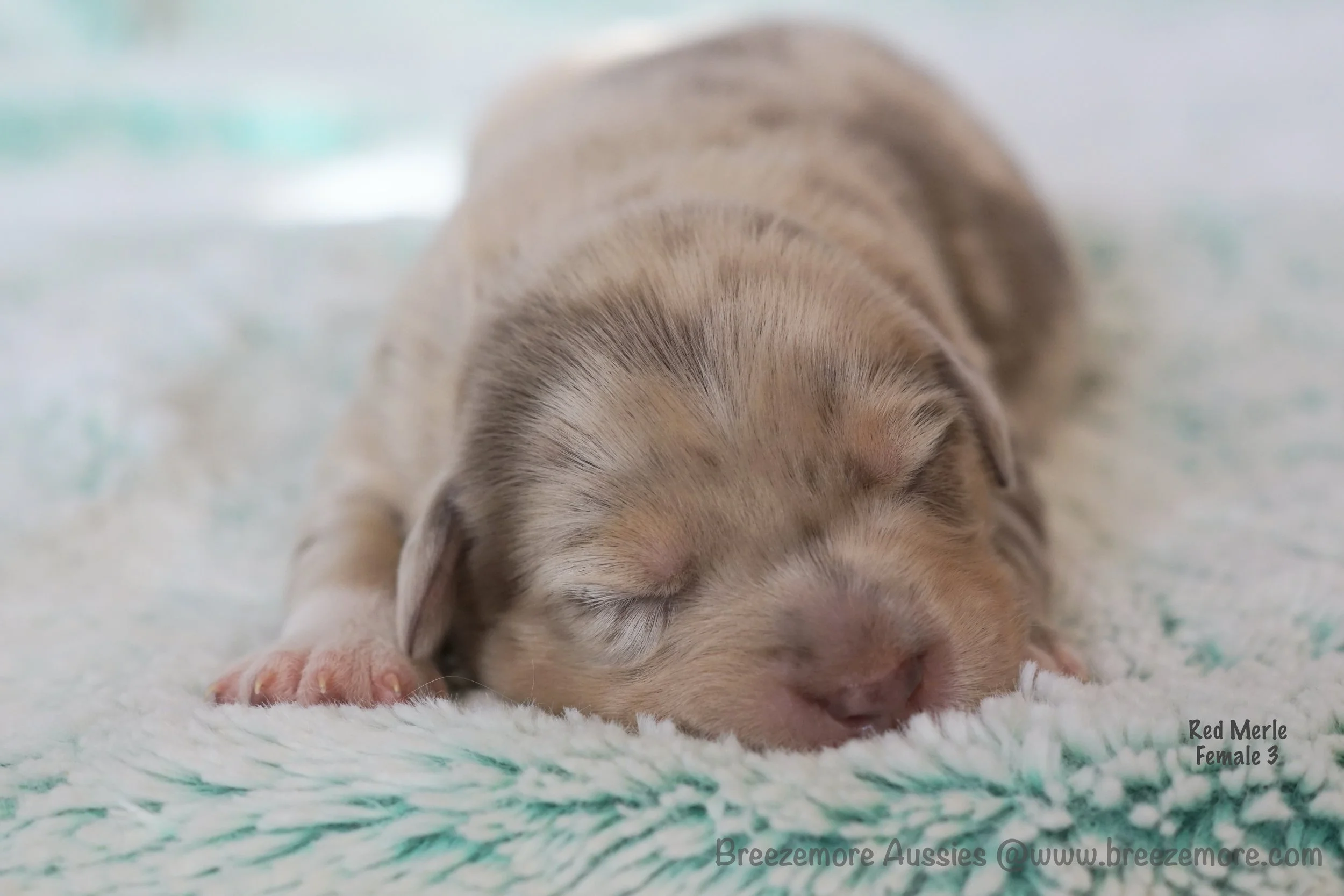 DSC08192 2 Edited.jpg