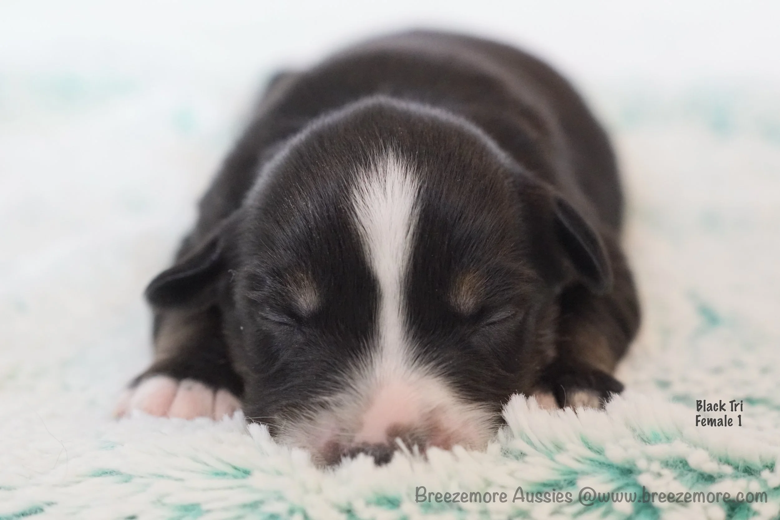 DSC08194 3 Edited.jpg