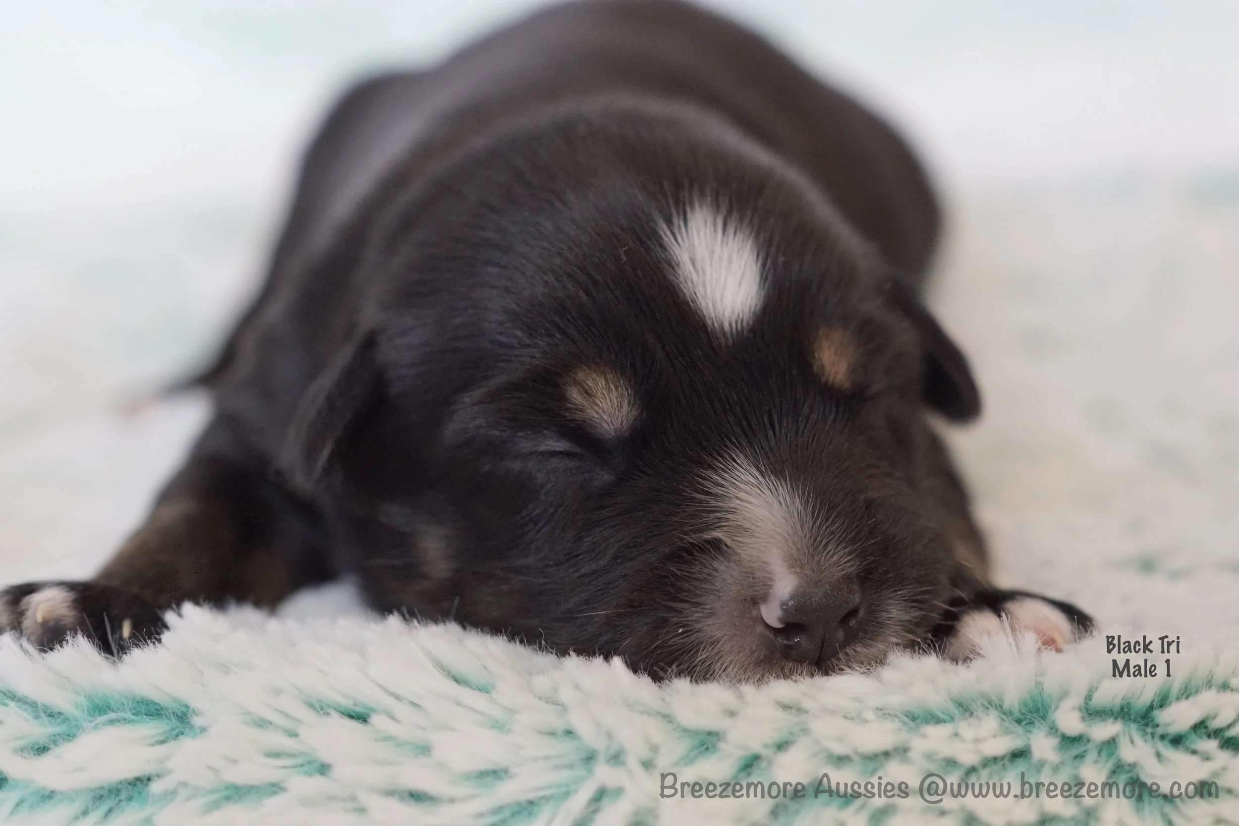 DSC08196 4 Edited.jpg