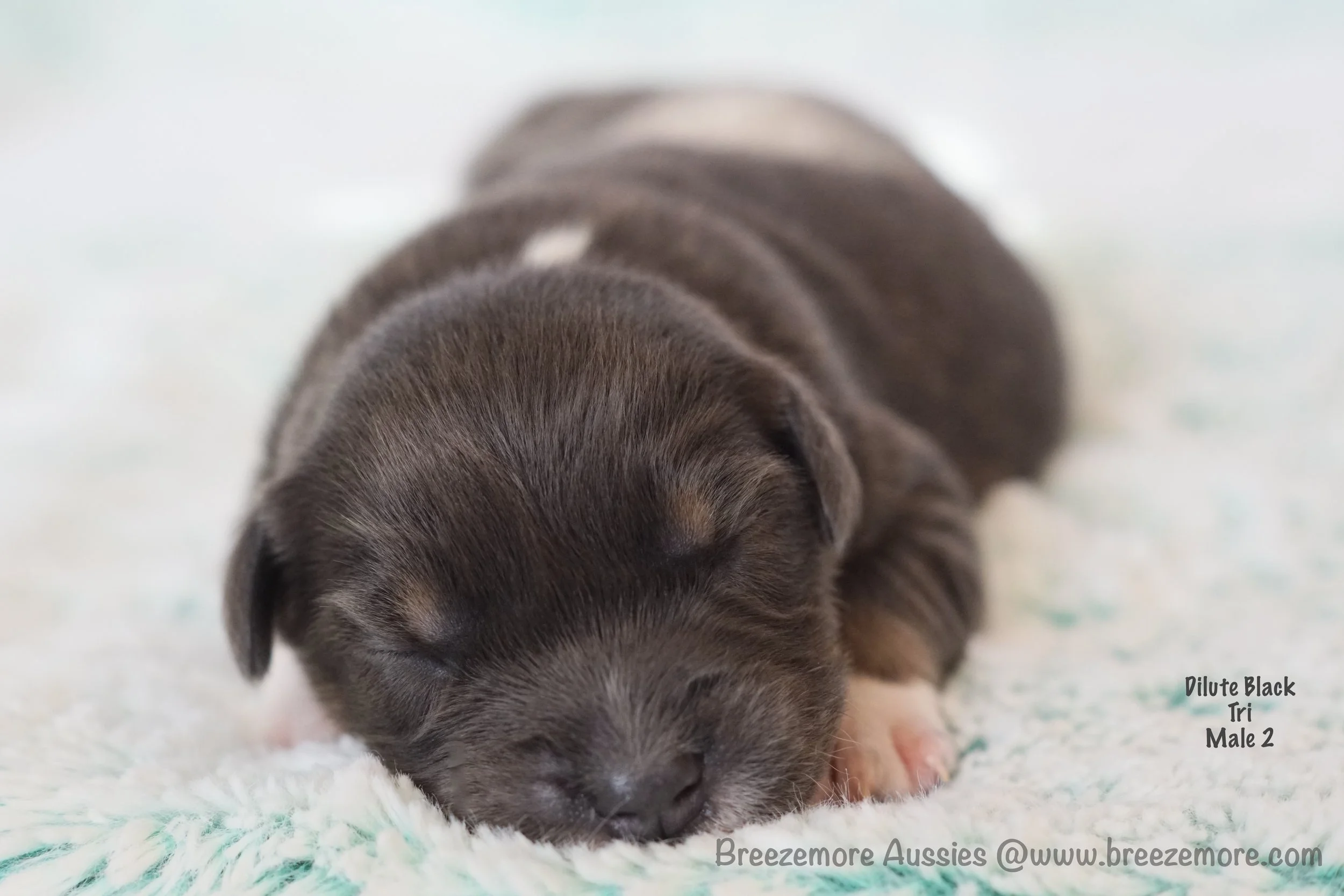 DSC08206 5 Edited.jpg