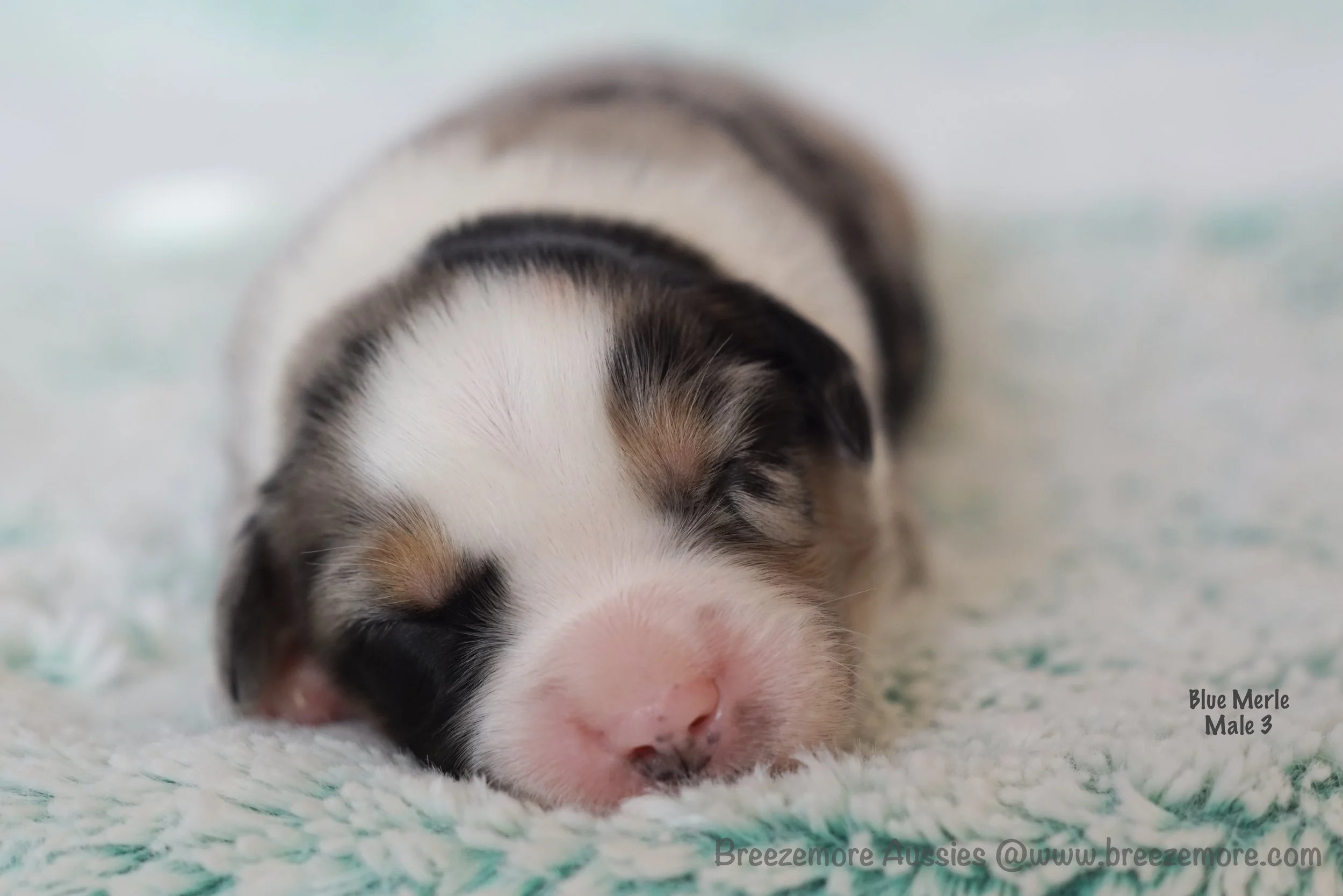 DSC08210 6 Edited.jpg