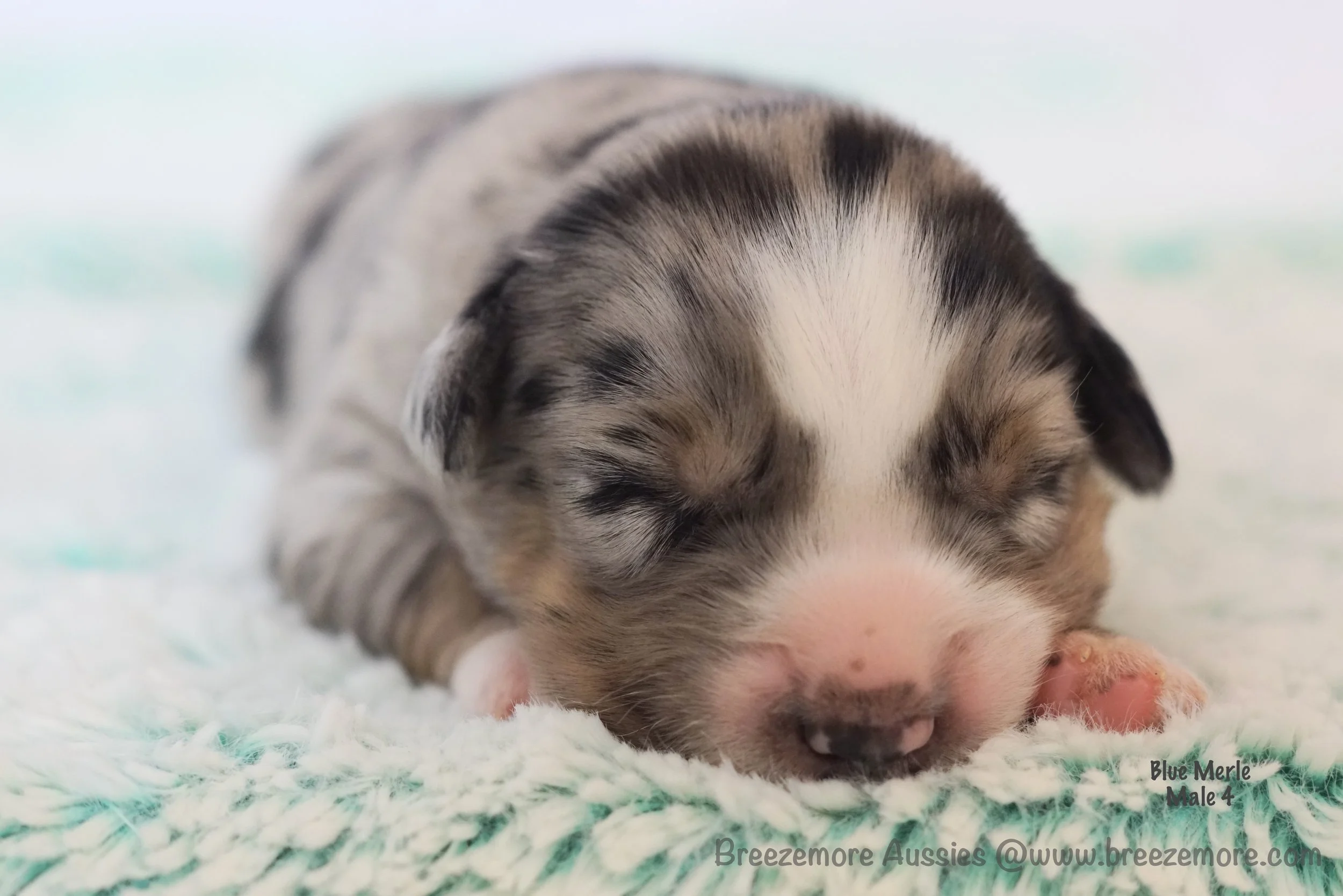 DSC08217 7 Edited.jpg