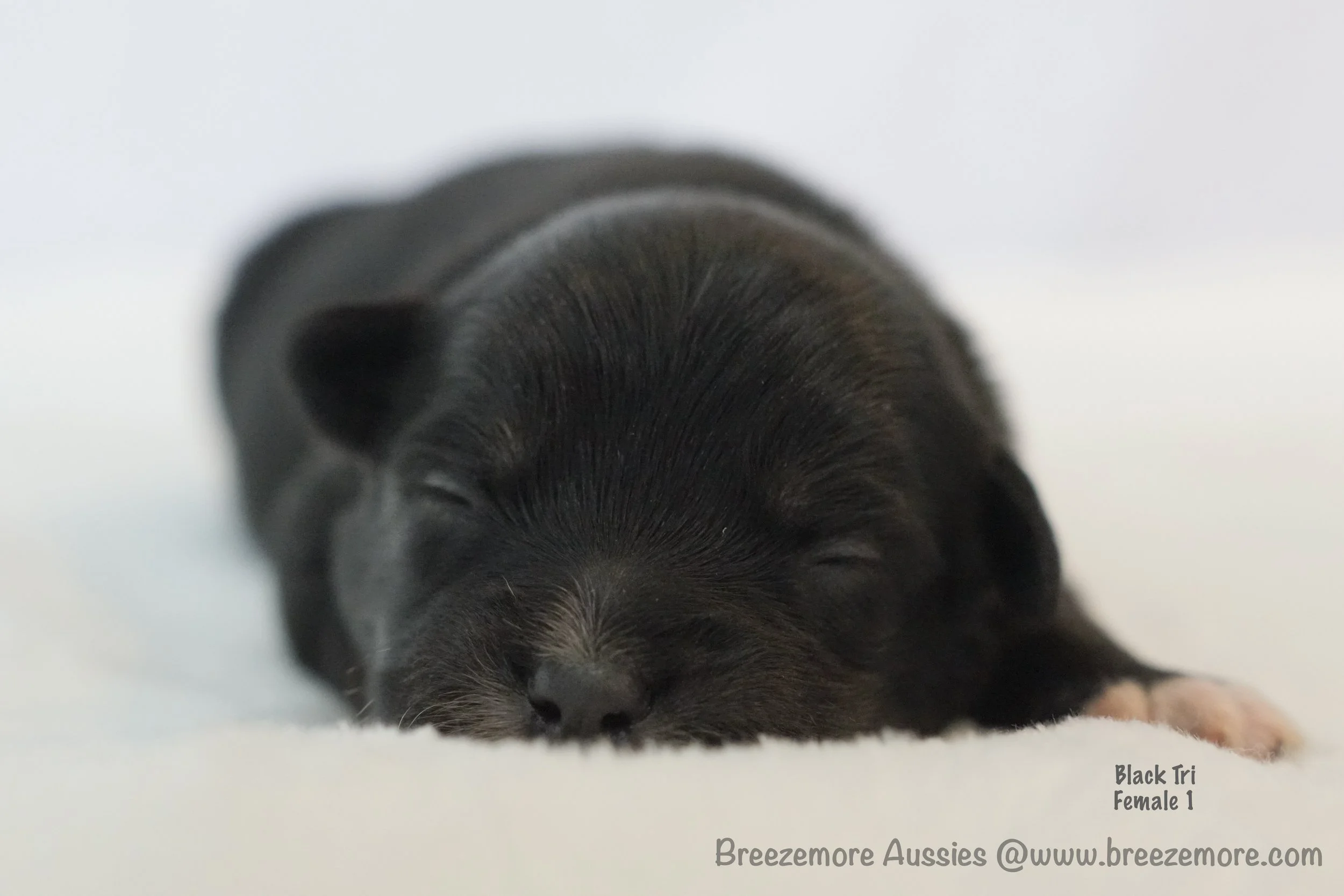 DSC08144 1 Edited.jpg