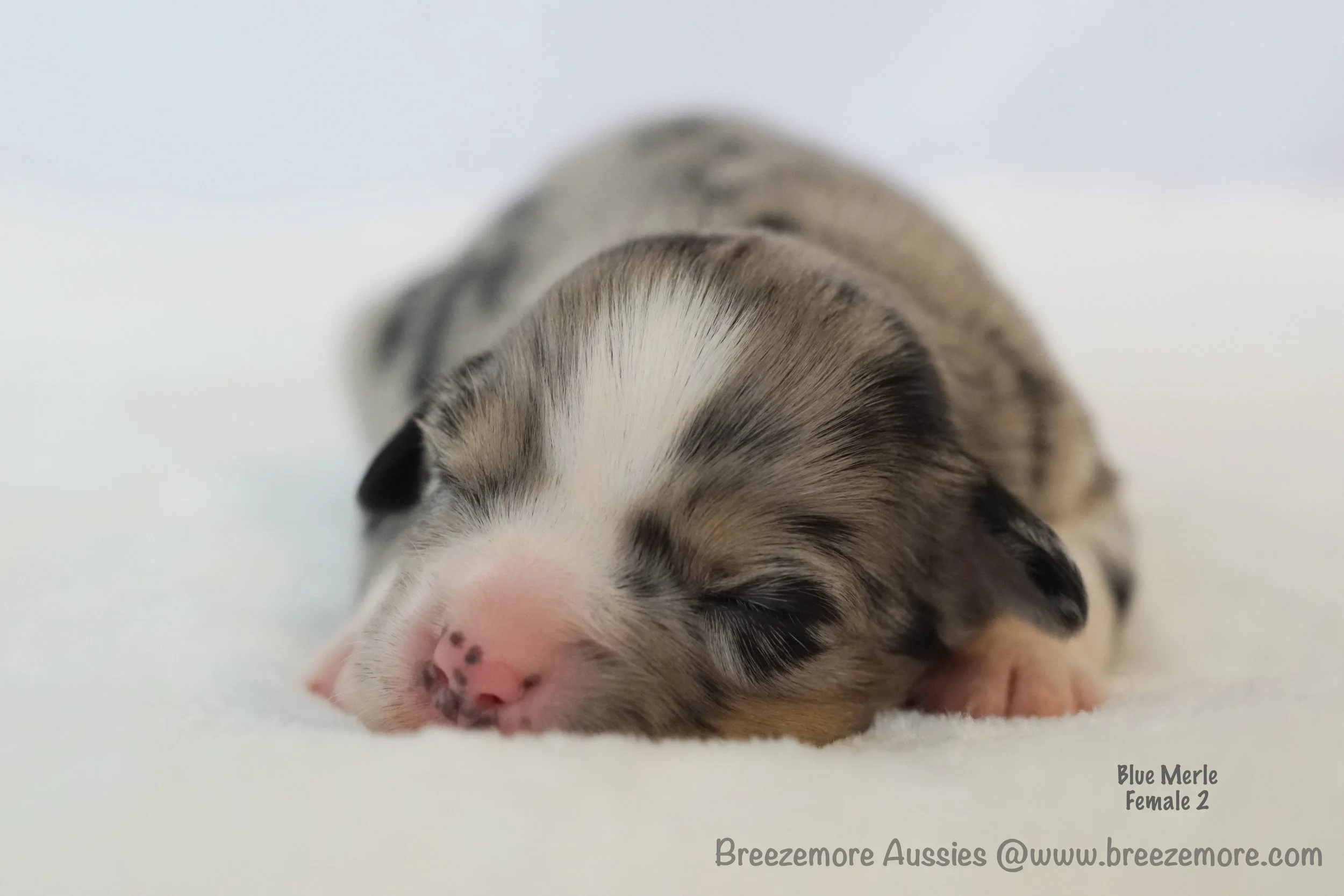 DSC08150 2 Edited.jpg