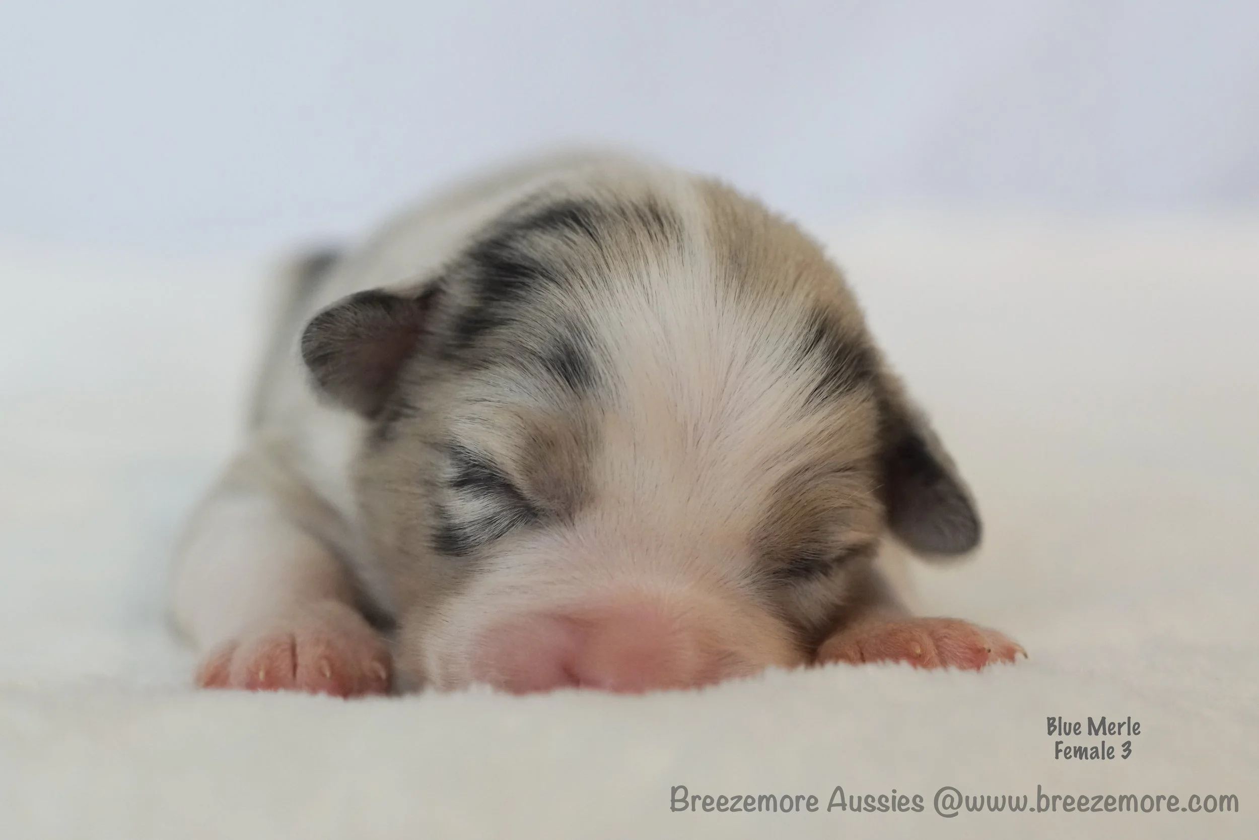 DSC08153 3 Edited.jpg