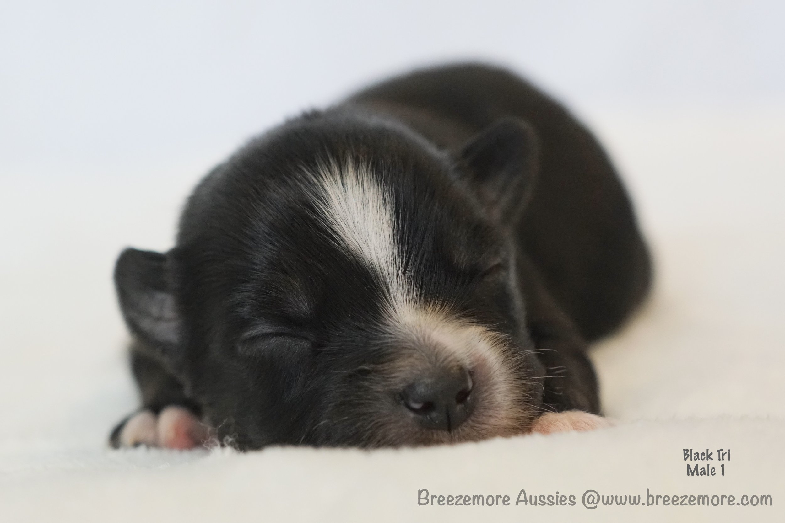 DSC08158 4 Edited.jpg