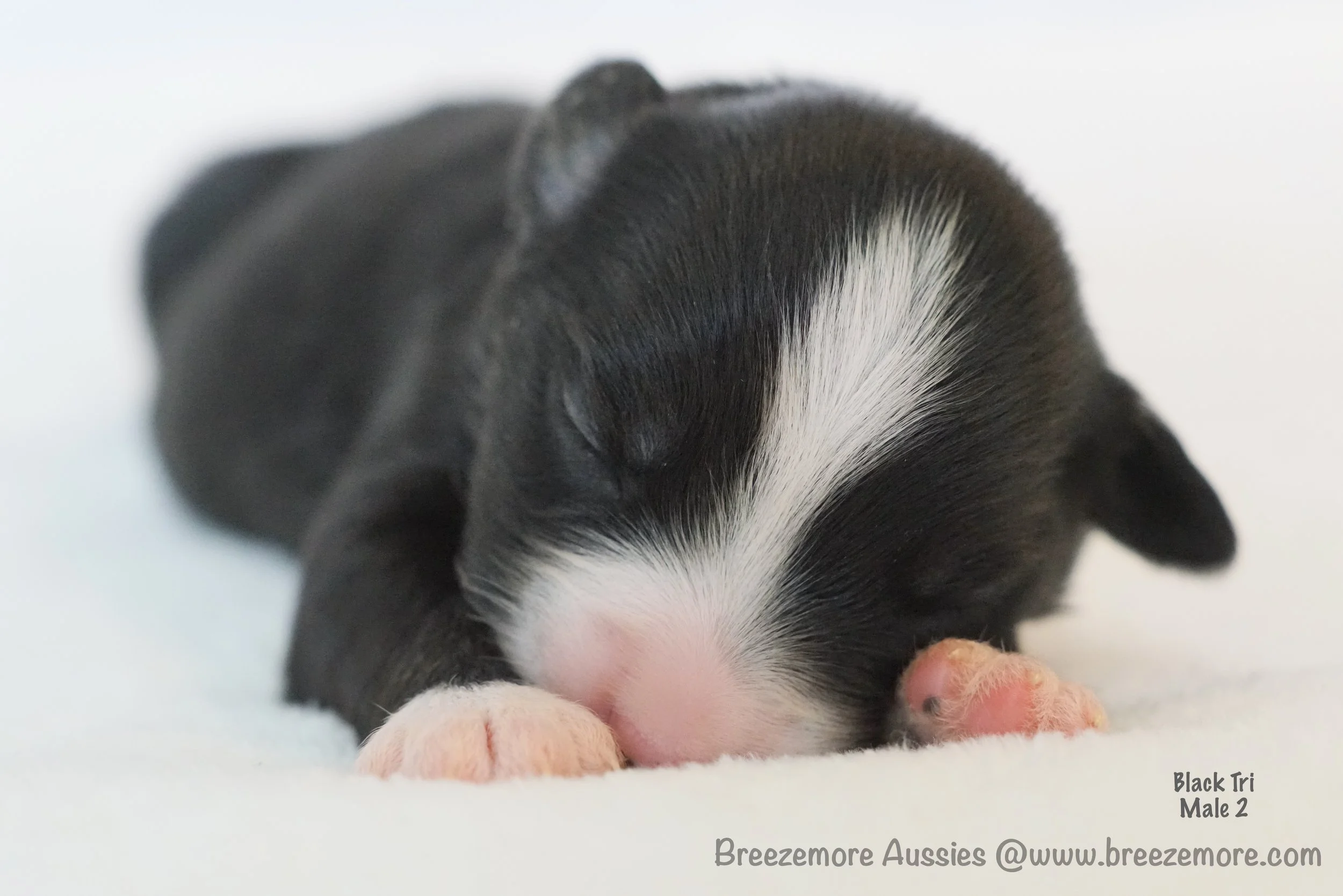 DSC08162 5 Edited.jpg